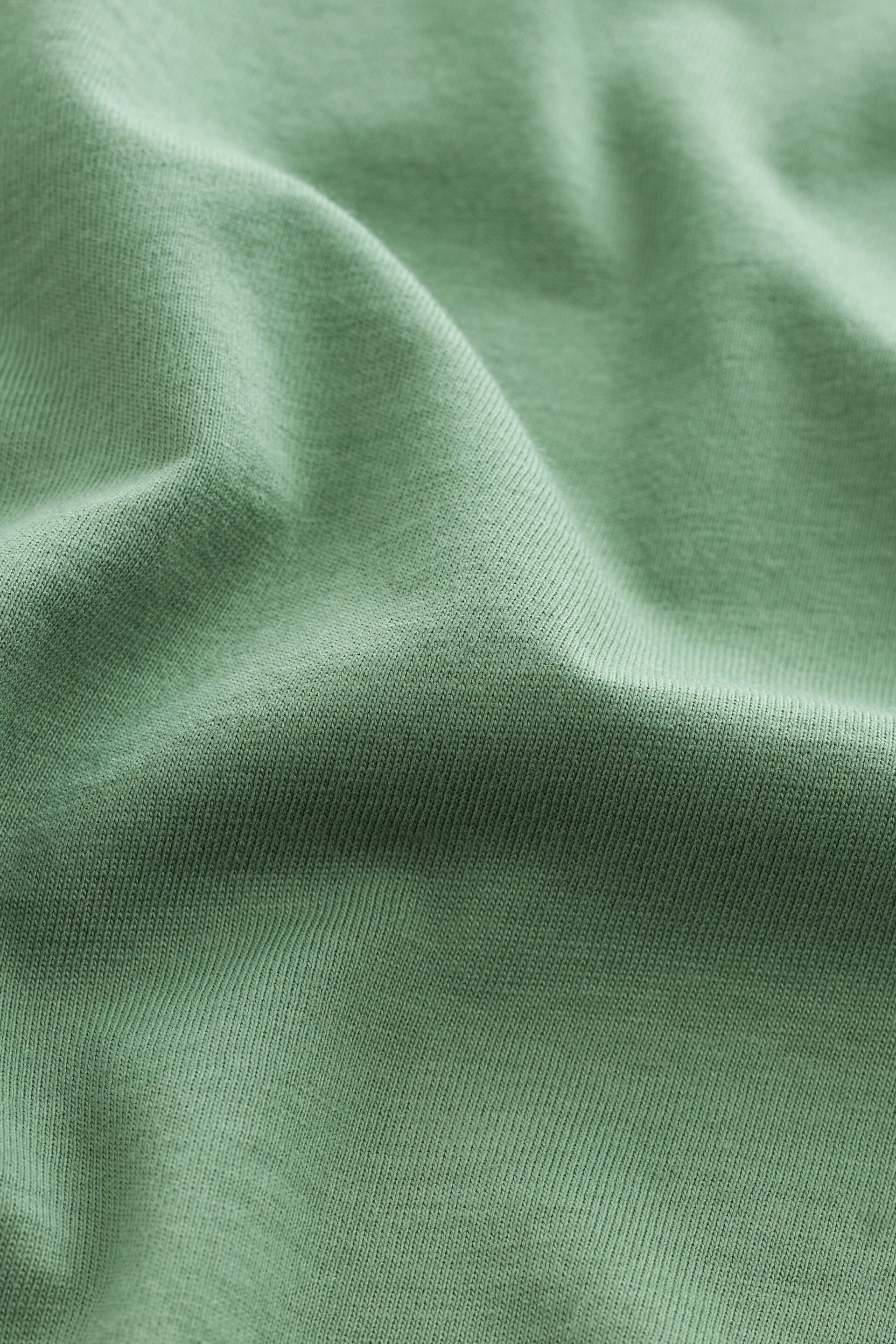 Green Light Regular Fit Essential Crew Neck T-Shirt - Image 7 of 7