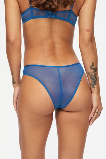 Ann Summers Blue Luster Foiled Embroidery Brazilian Knickers