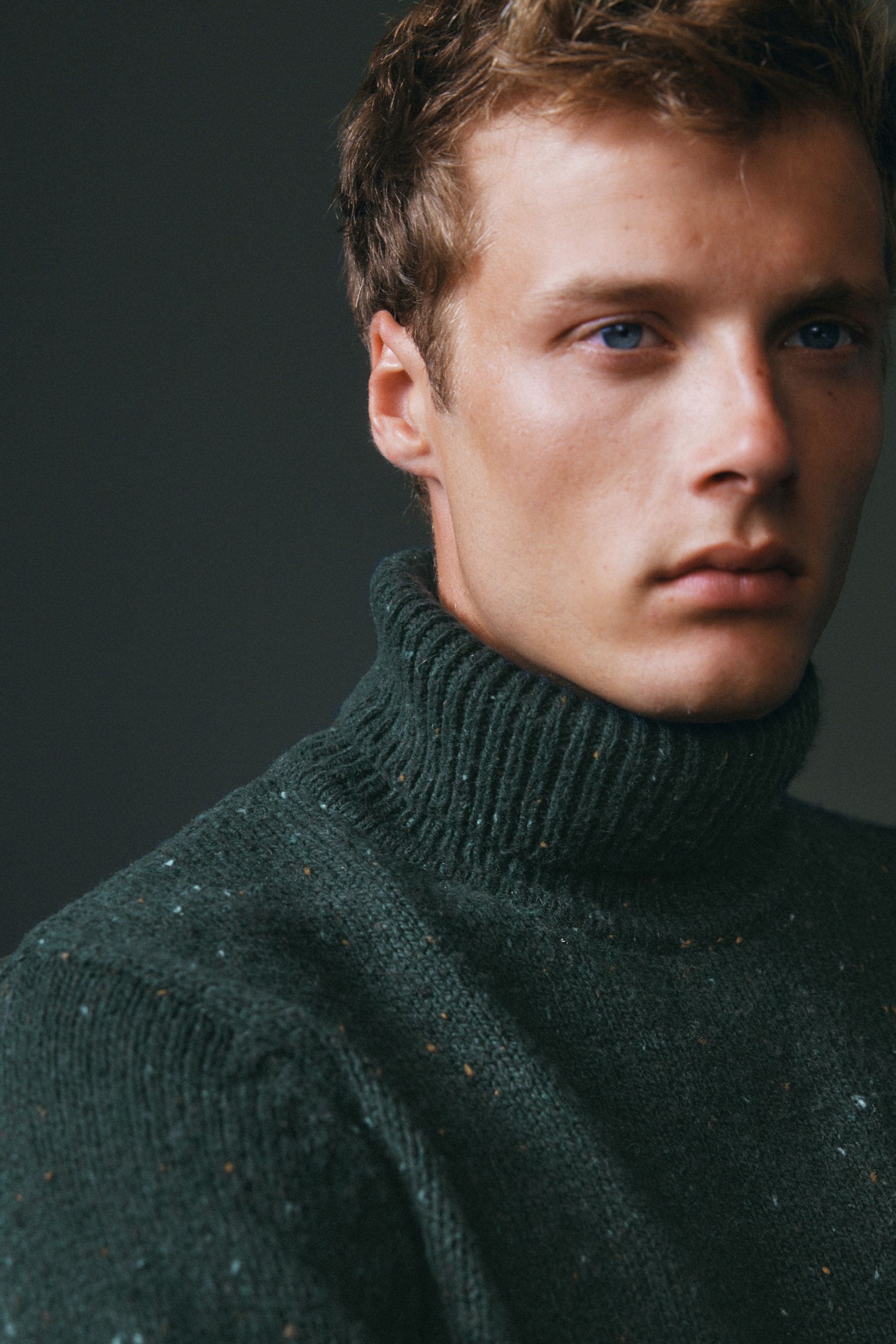 Buy Green Regular Flecked Knitted Roll Neck Jumper from Next Luxembourg