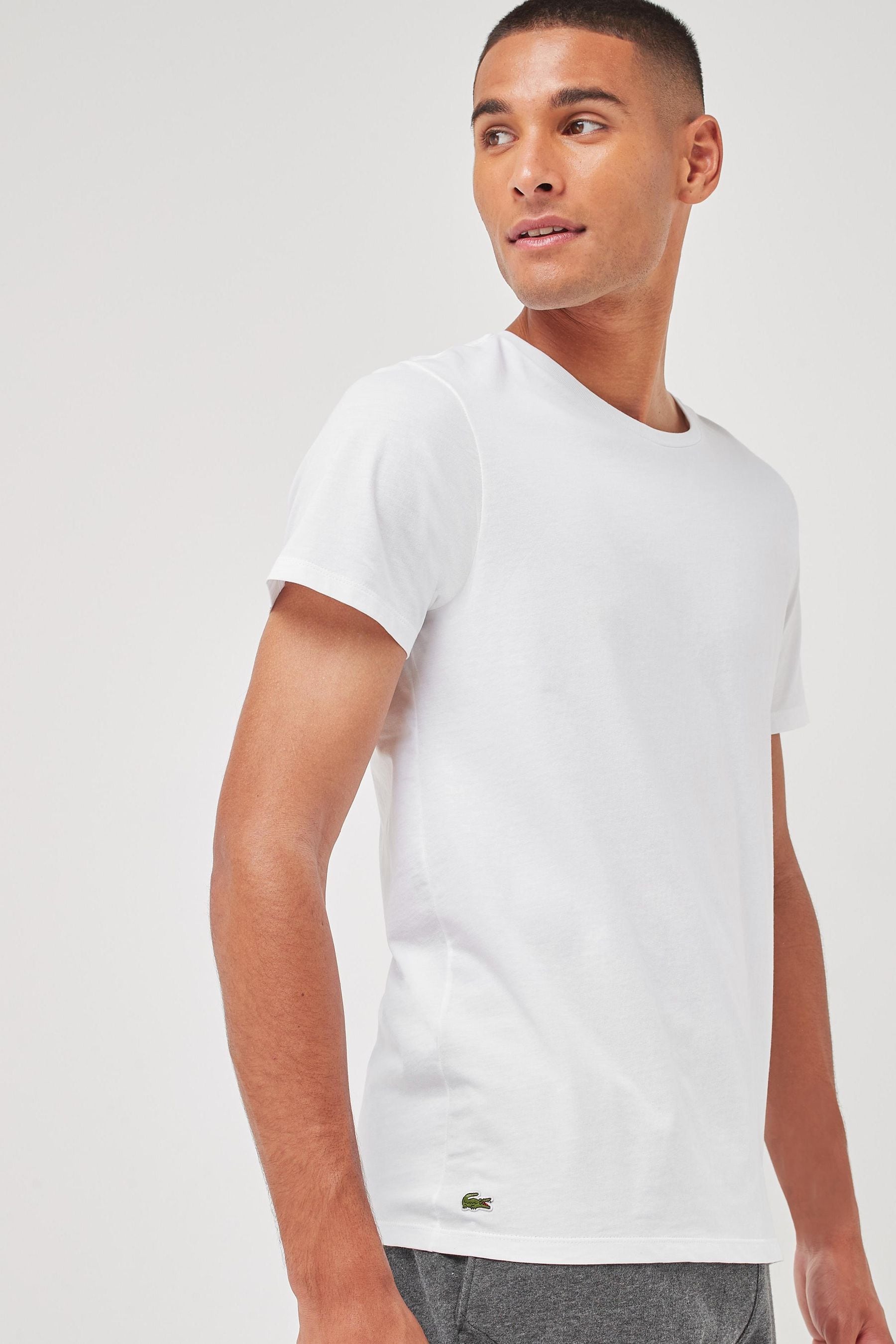 Lacoste 3 pack shirt outlet