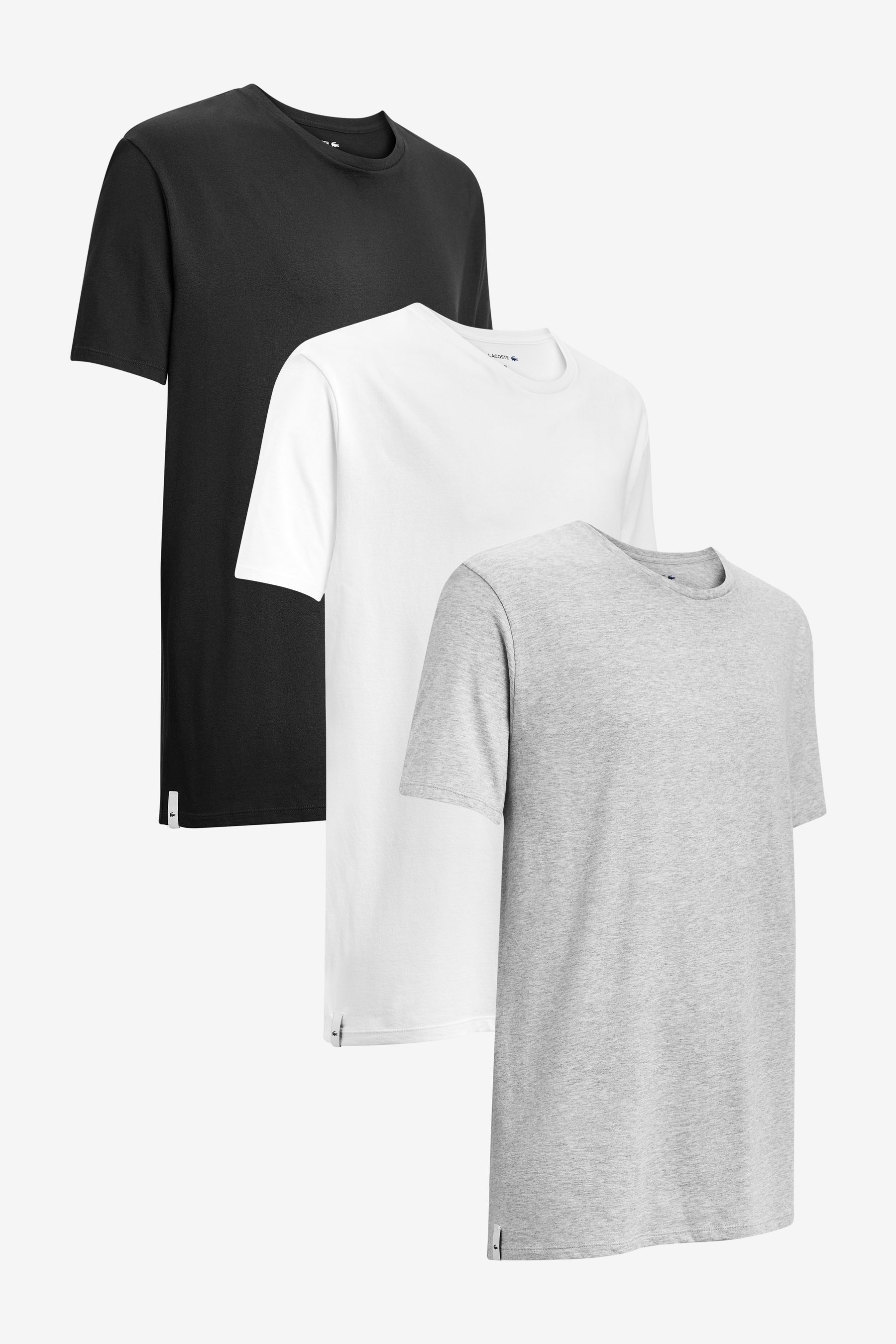 Pack 3 t outlet shirts lacoste
