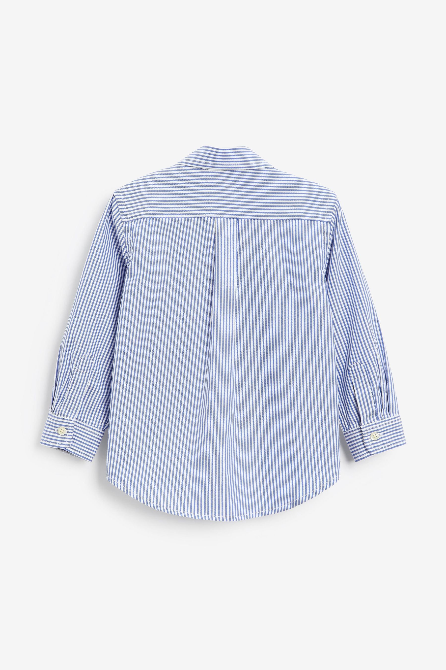 Baby polo online button down shirt