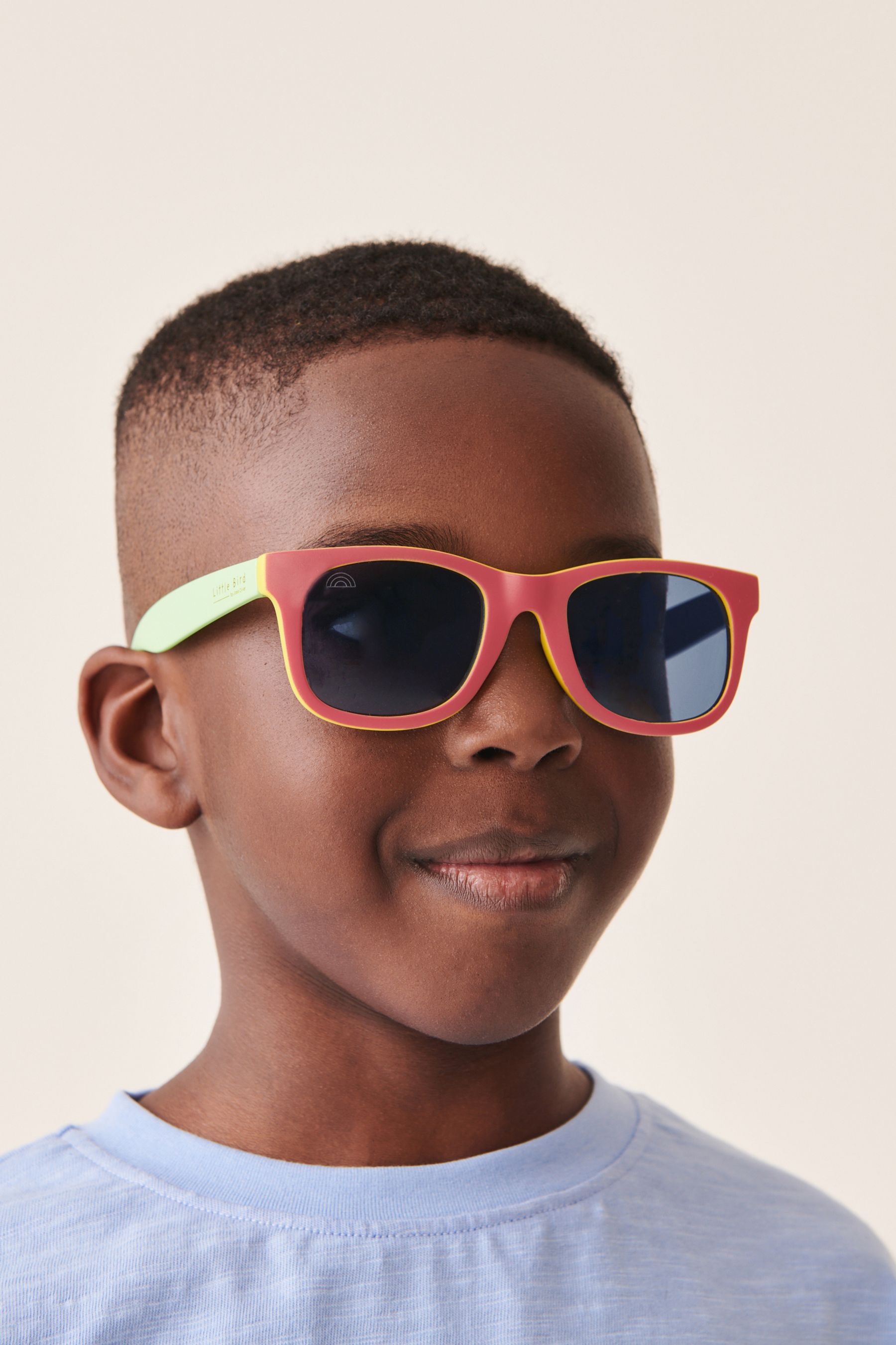 Rainbow wayfarer sunglasses discount