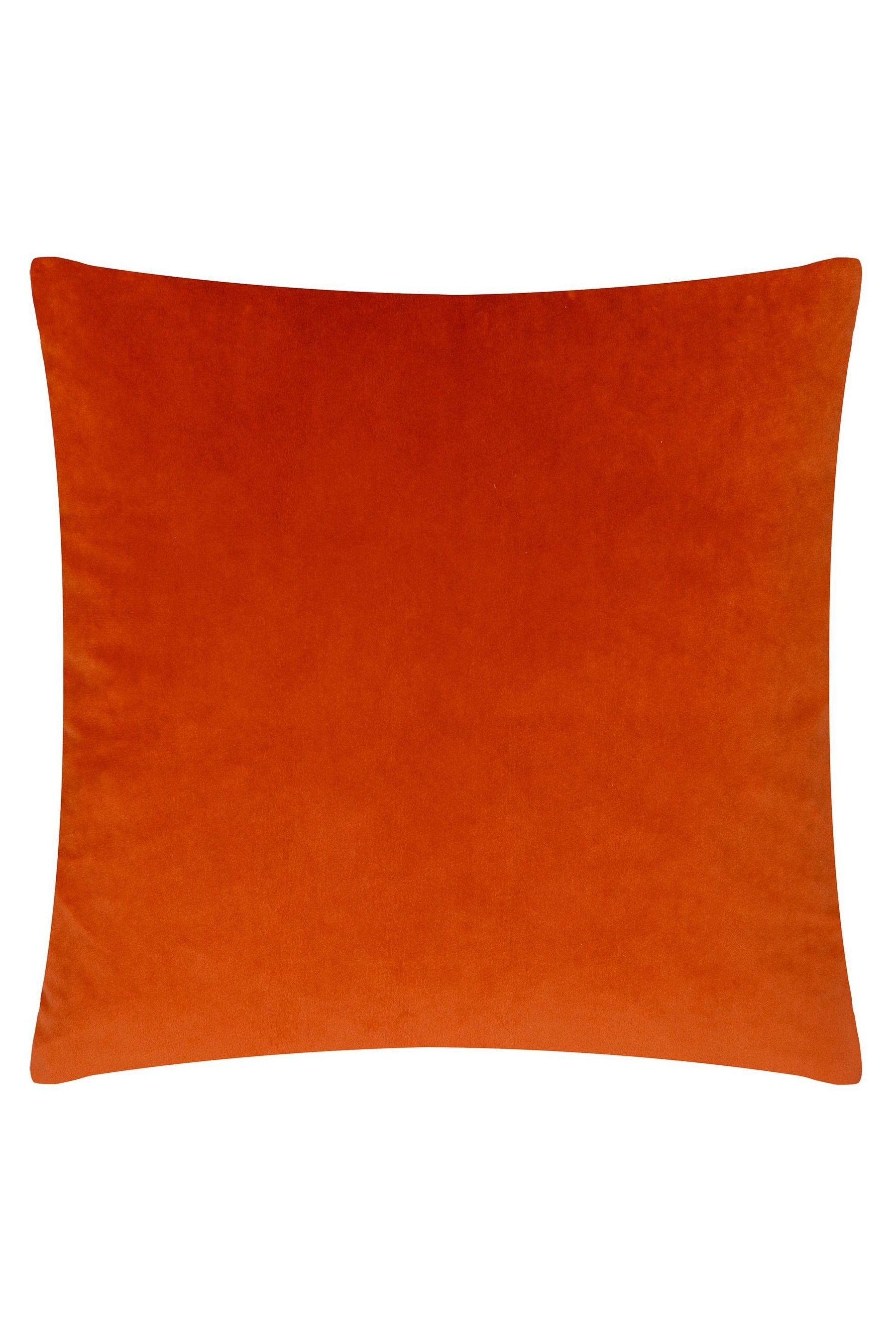 Paoletti cushions teal online