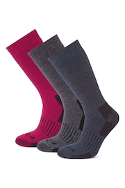 Tog 24 Pink Villach Trek Socks 3 Packs - Image 1 of 2