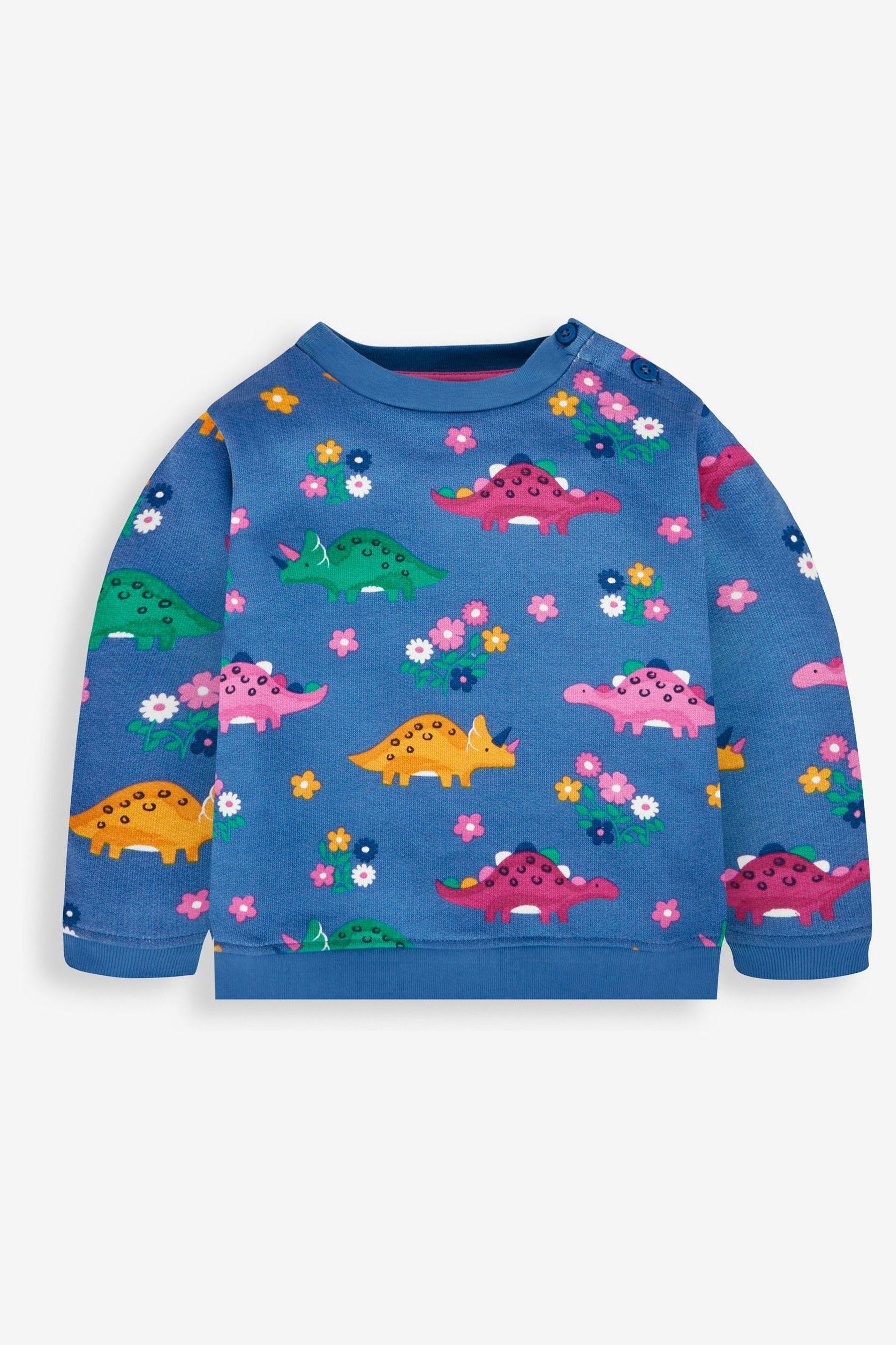 Buy JoJo Maman Bebe Blue Girls Dino Sweatshirt from the Next UK online shop
