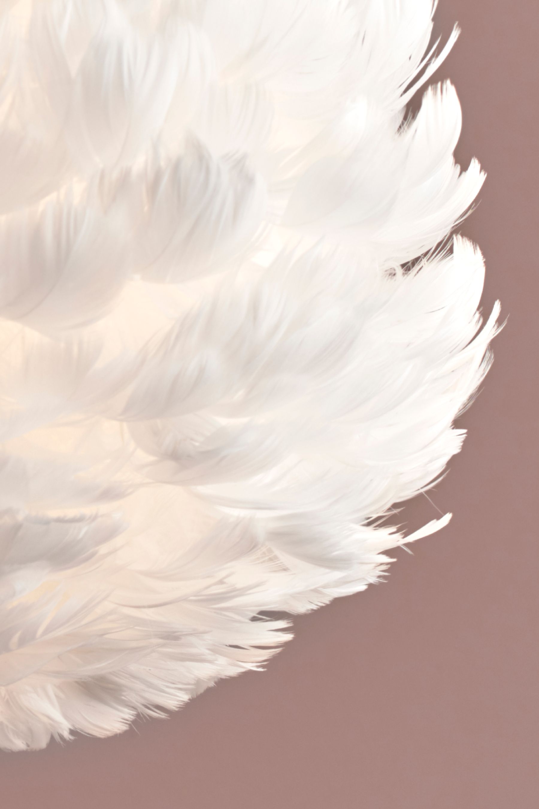 Lipsy White Feather Easy Fit Shade
