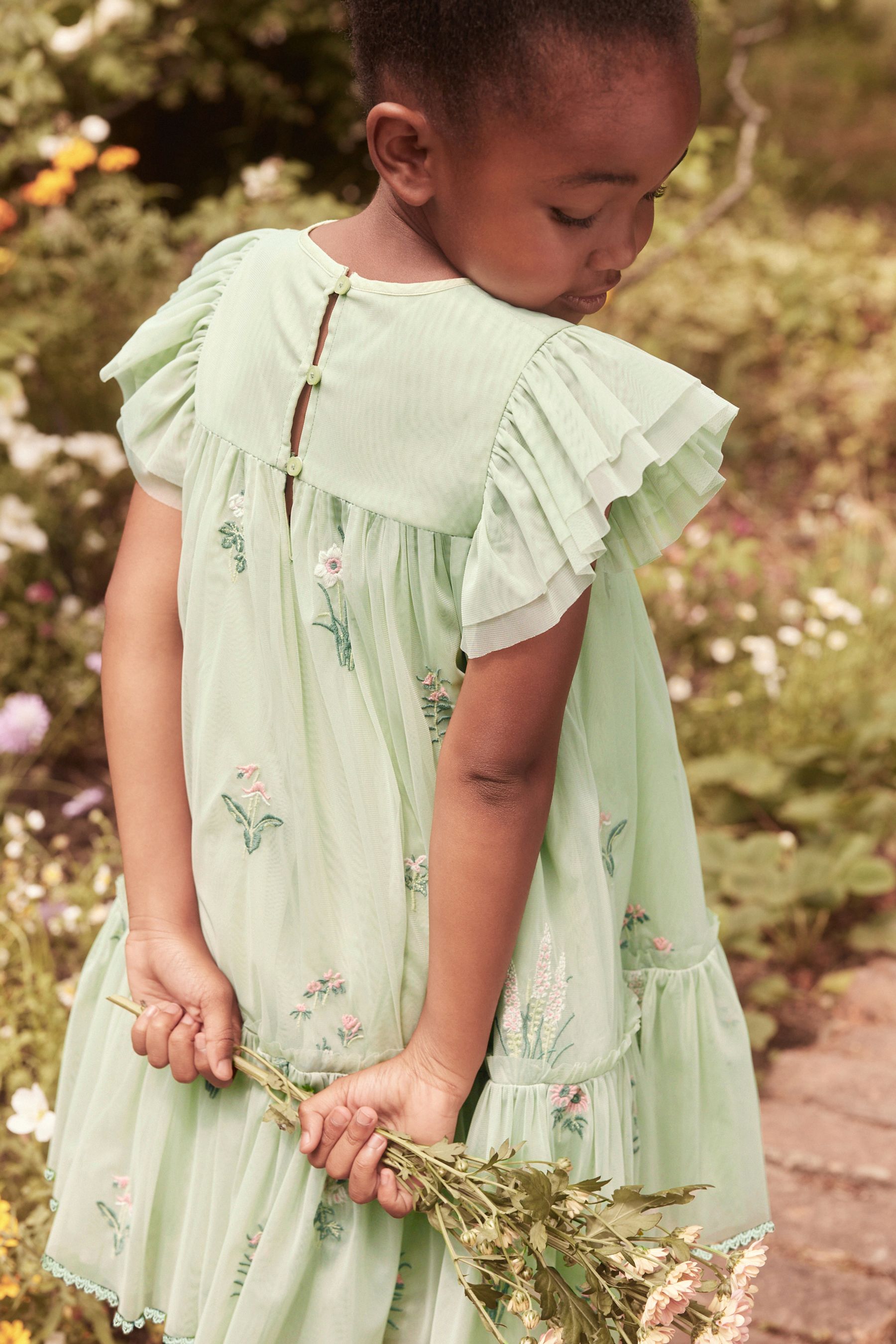 Buy Laura Ashley Green Embroidery Floral Mesh Dress from Next Luxembourg
