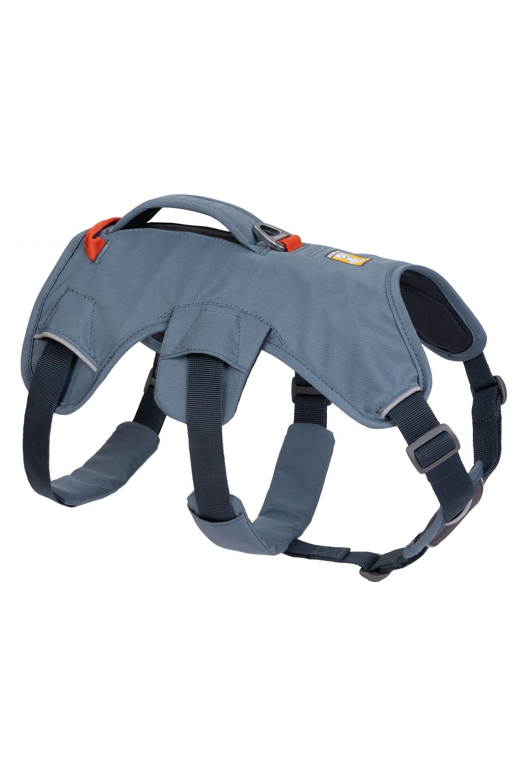 Buy Ruffwear Blue Web Master Dog Harness with Handle from the