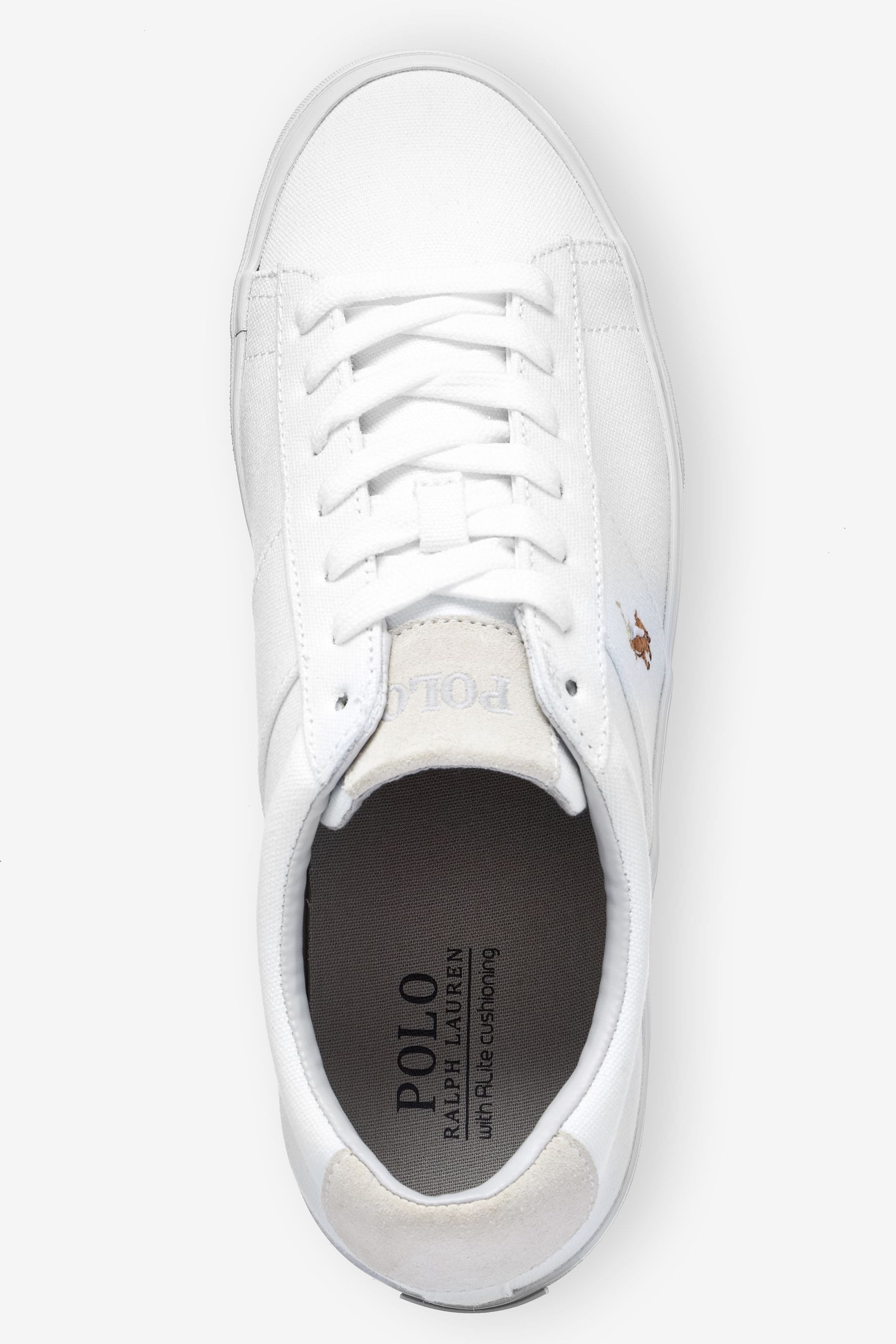 Polo ralph lauren sayer canvas trainer shop
