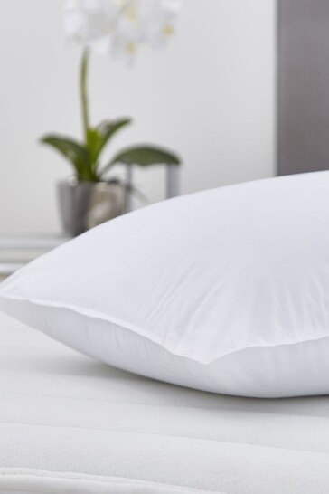 Silentnight Pure Cotton Single Pillow