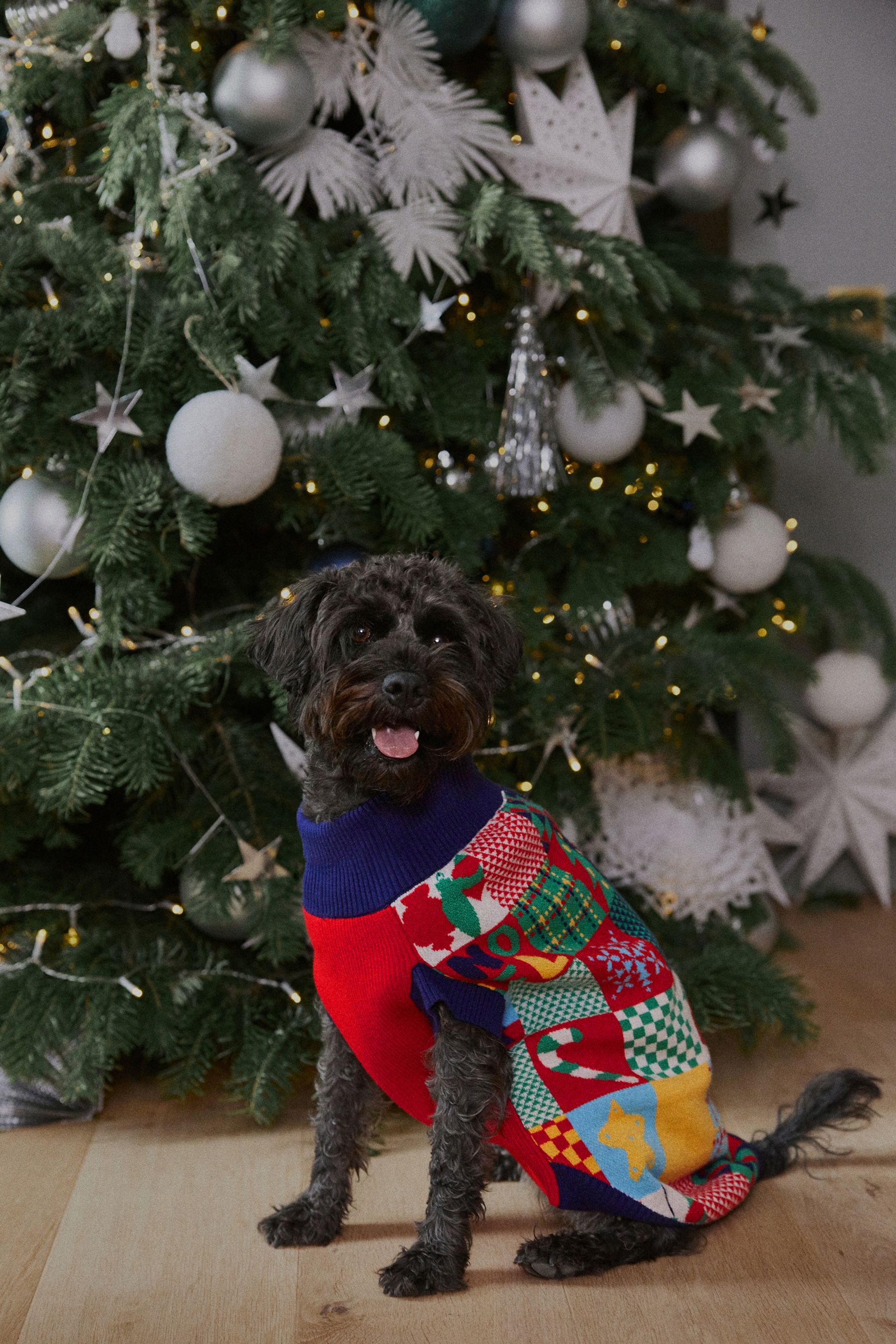 Buy Navy Blue Red Patchwork Matching Family Pet Knitted Christmas Jumper from Next Luxembourg