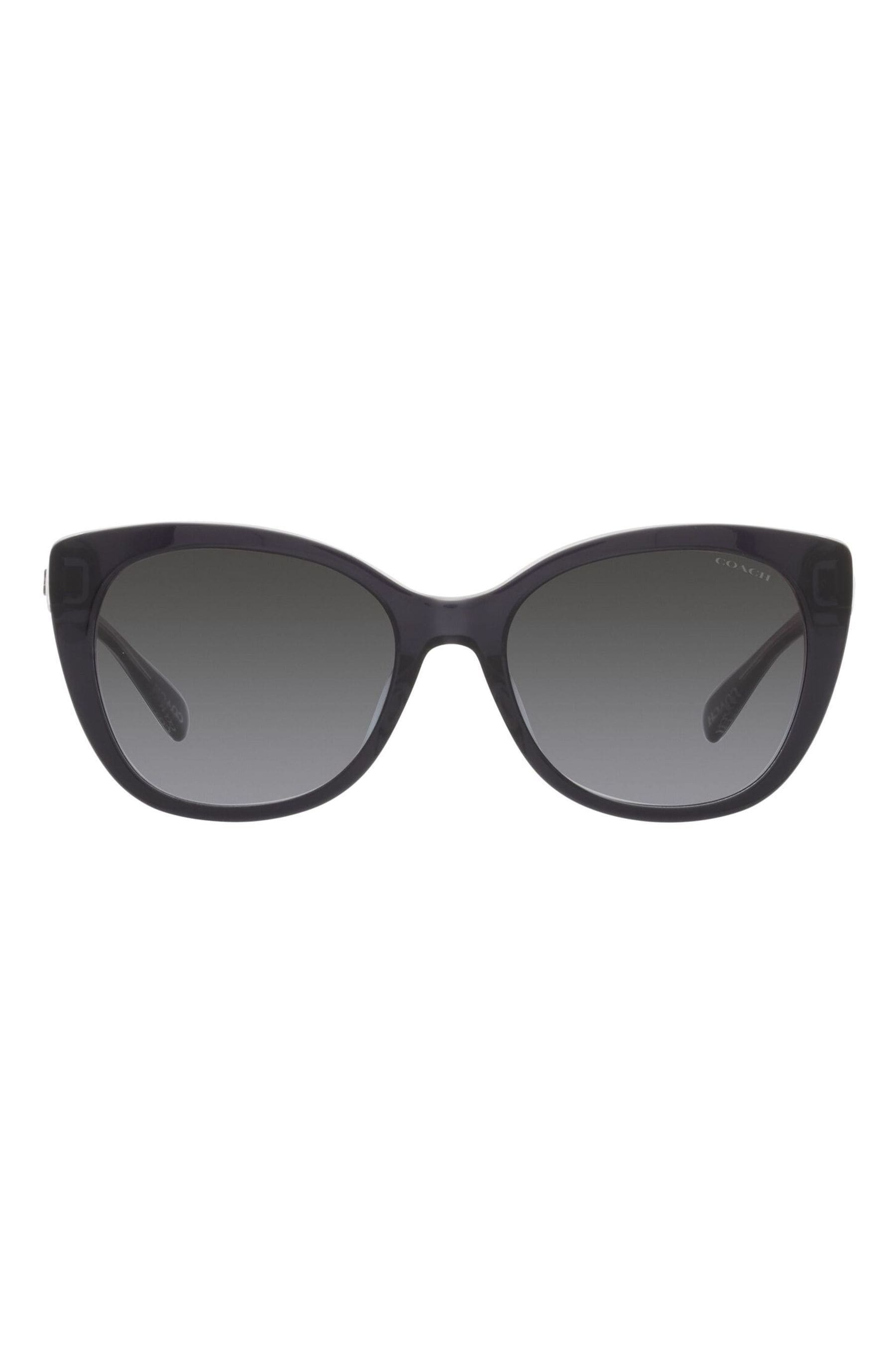 Buy coach sunglasses online outlet