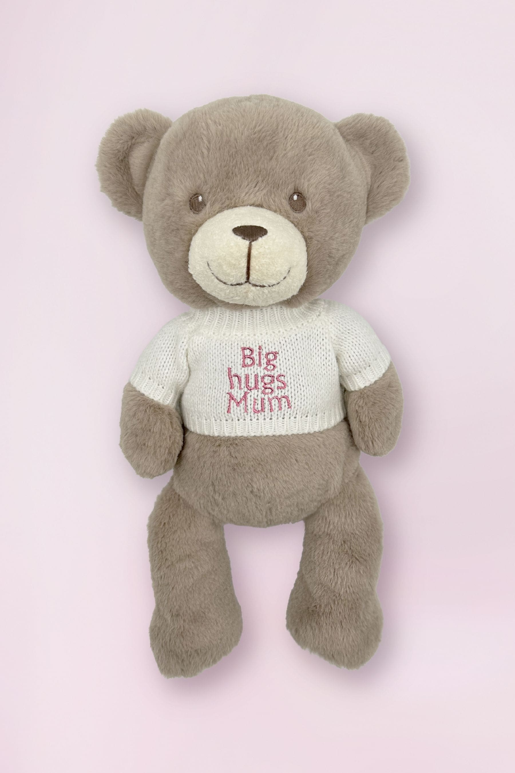 Big hug clearance teddy bear