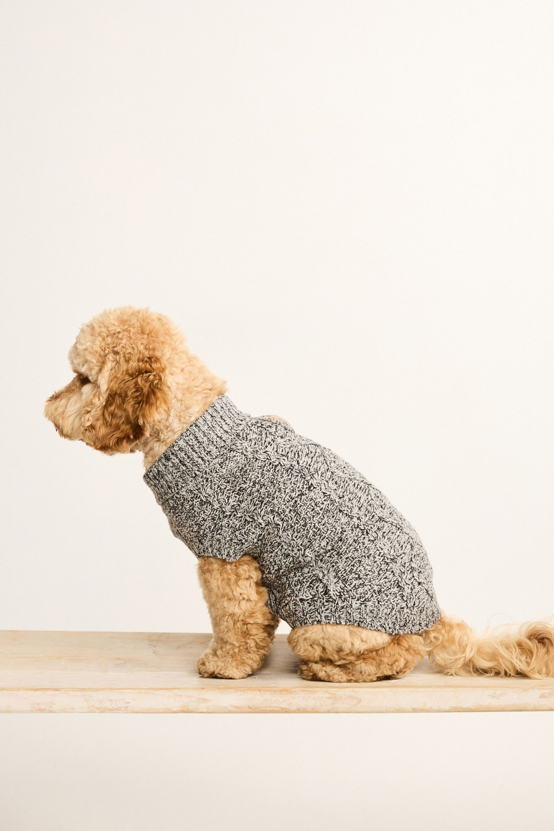 Charcoal Grey Cable Stitch Dog Jumper - Image 2 of 9