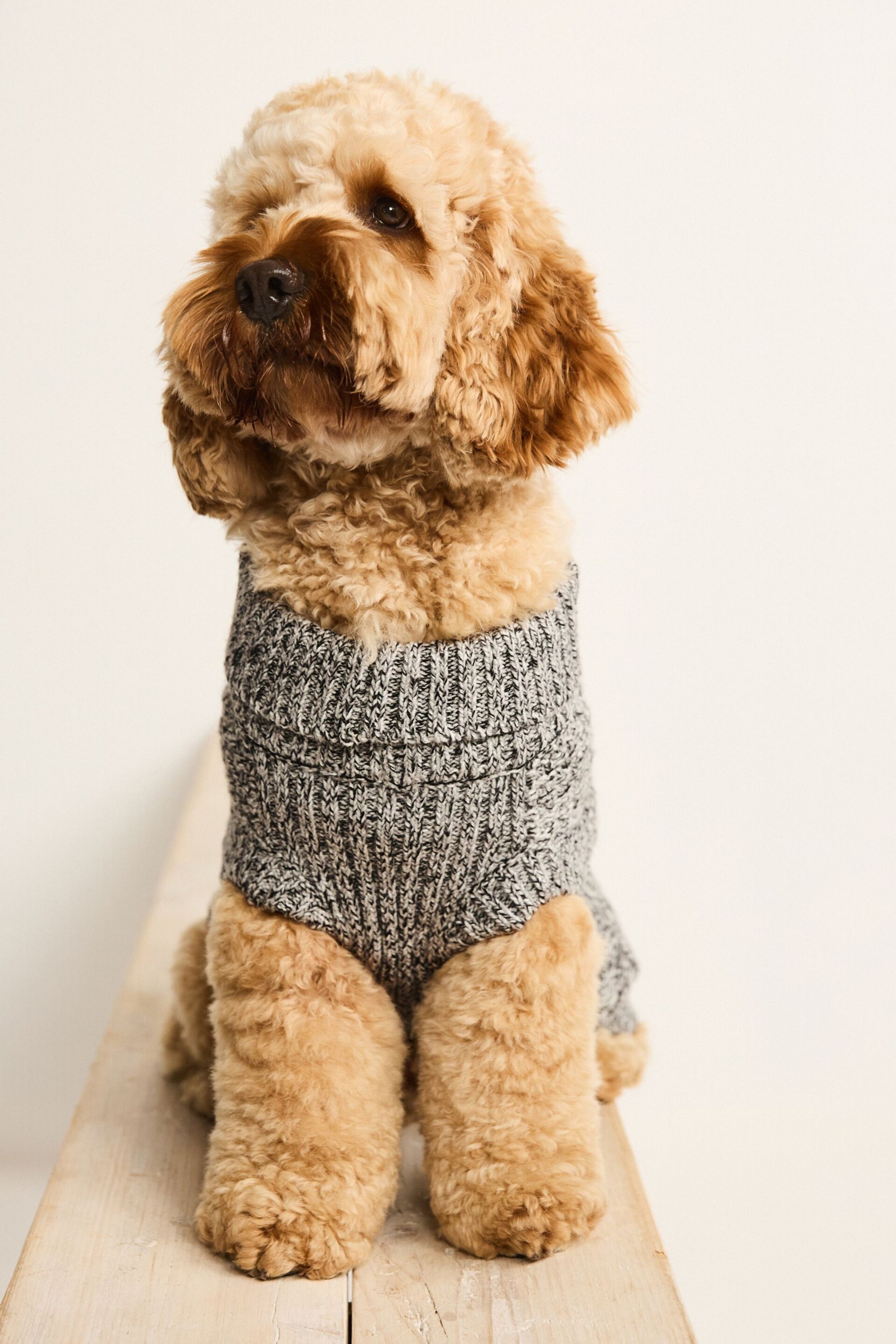 Charcoal Grey Cable Stitch Dog Jumper - Image 5 of 9