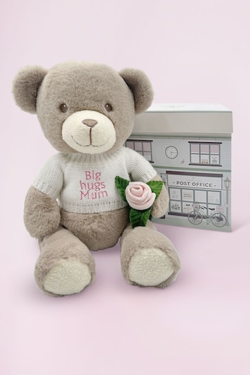 Mum To Be  Frankie Bear Soft Toy and Baby Rosebud Socks - Big Hugs