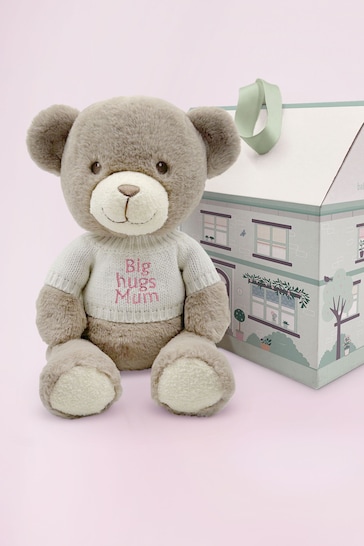 Mum To Be  Frankie Bear Soft Toy and Baby Rosebud Socks - Big Hugs