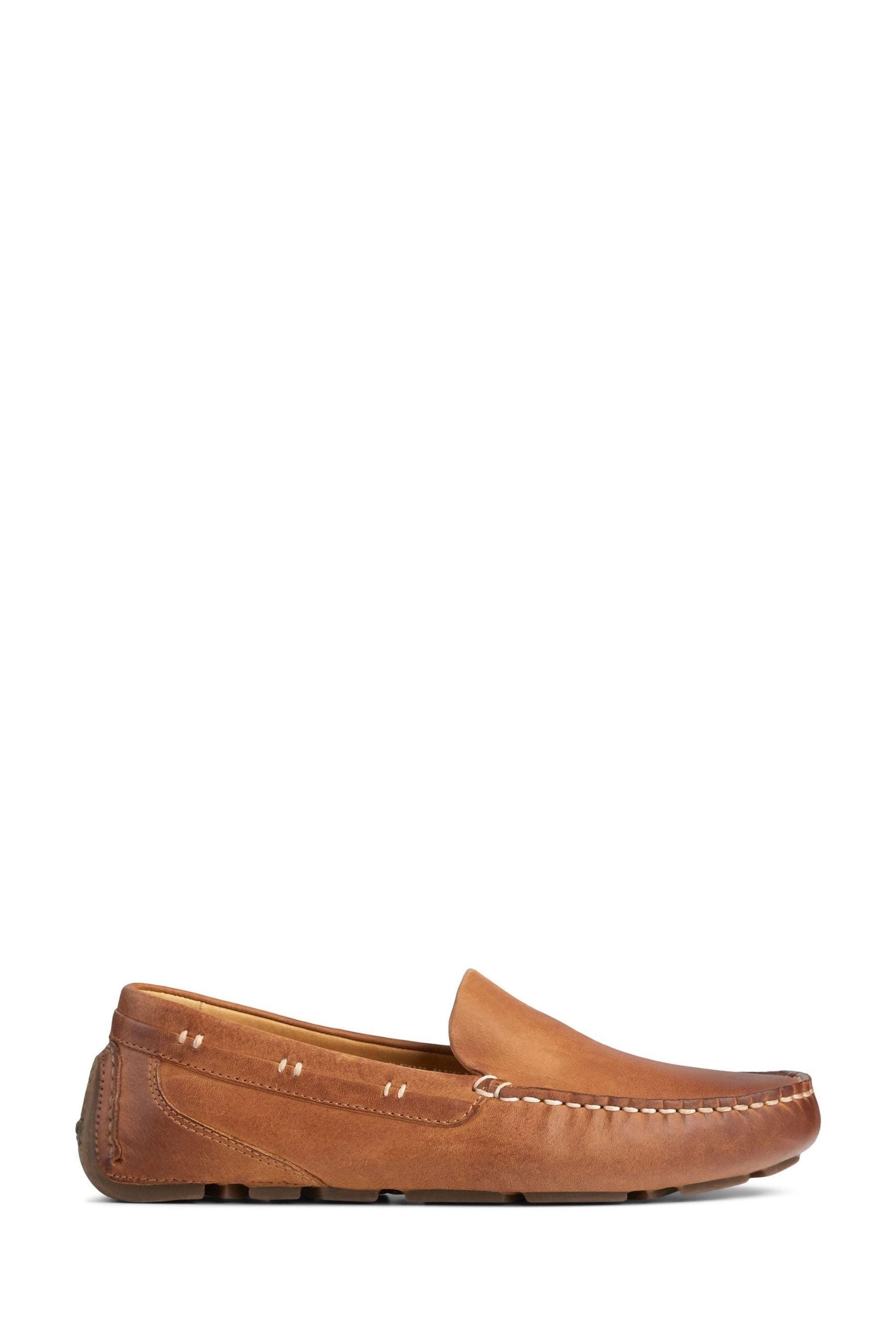 Sperry gold hotsell cup driver
