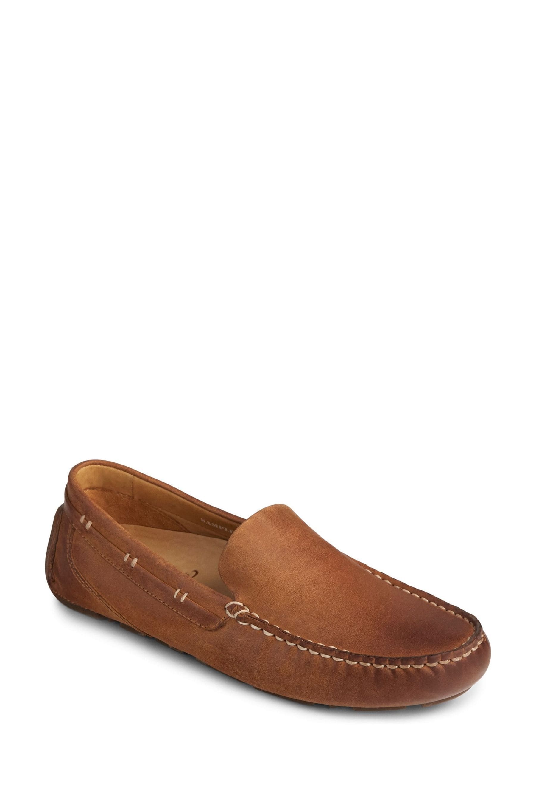 Sperry gold cup harpswell driver 2025