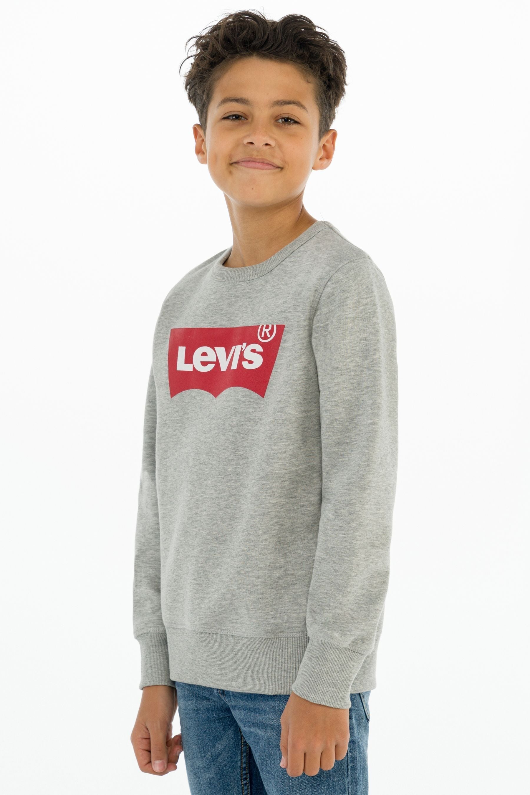 Levi's deals grey sweater