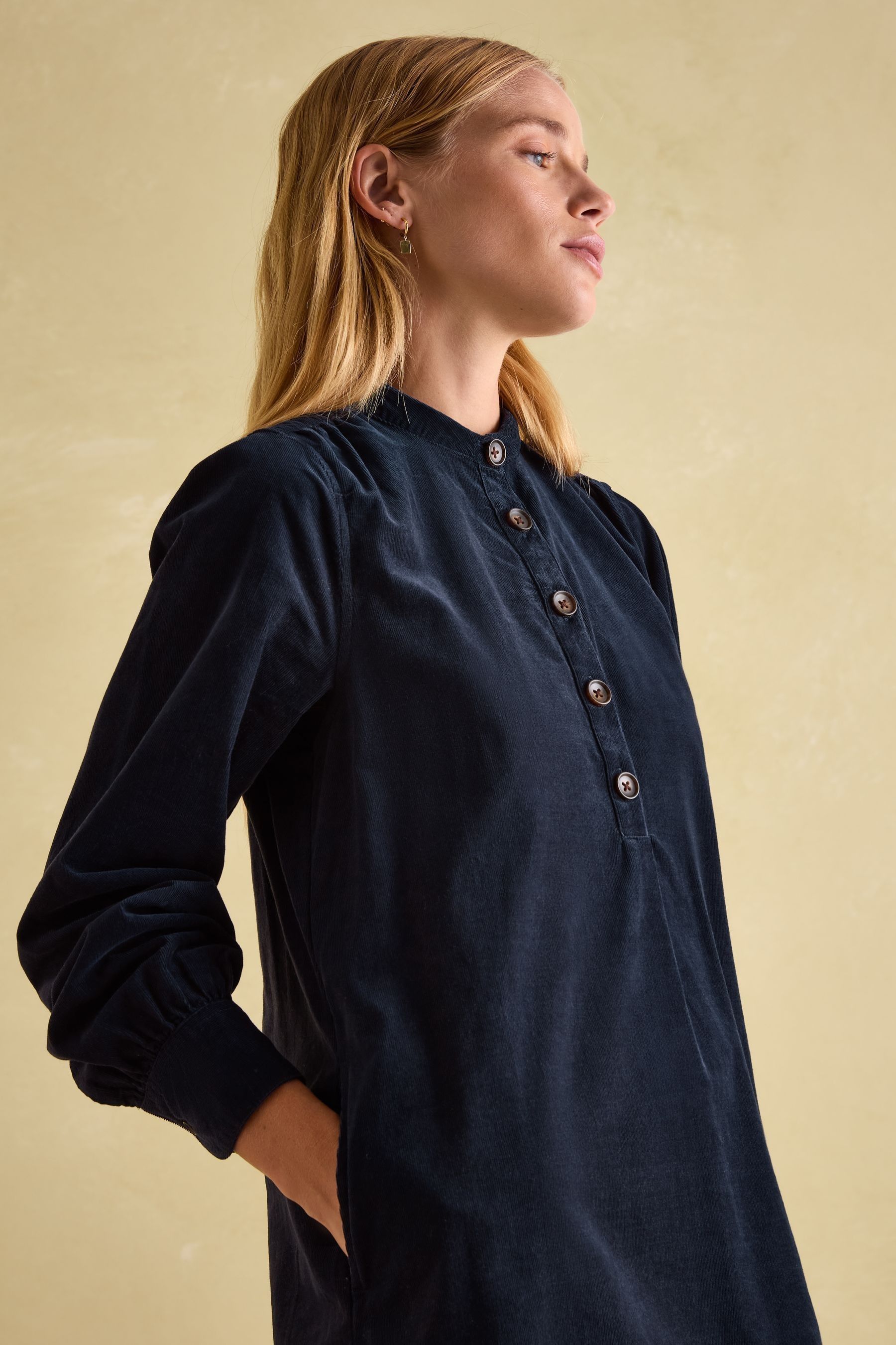 Joules velvet dress best sale