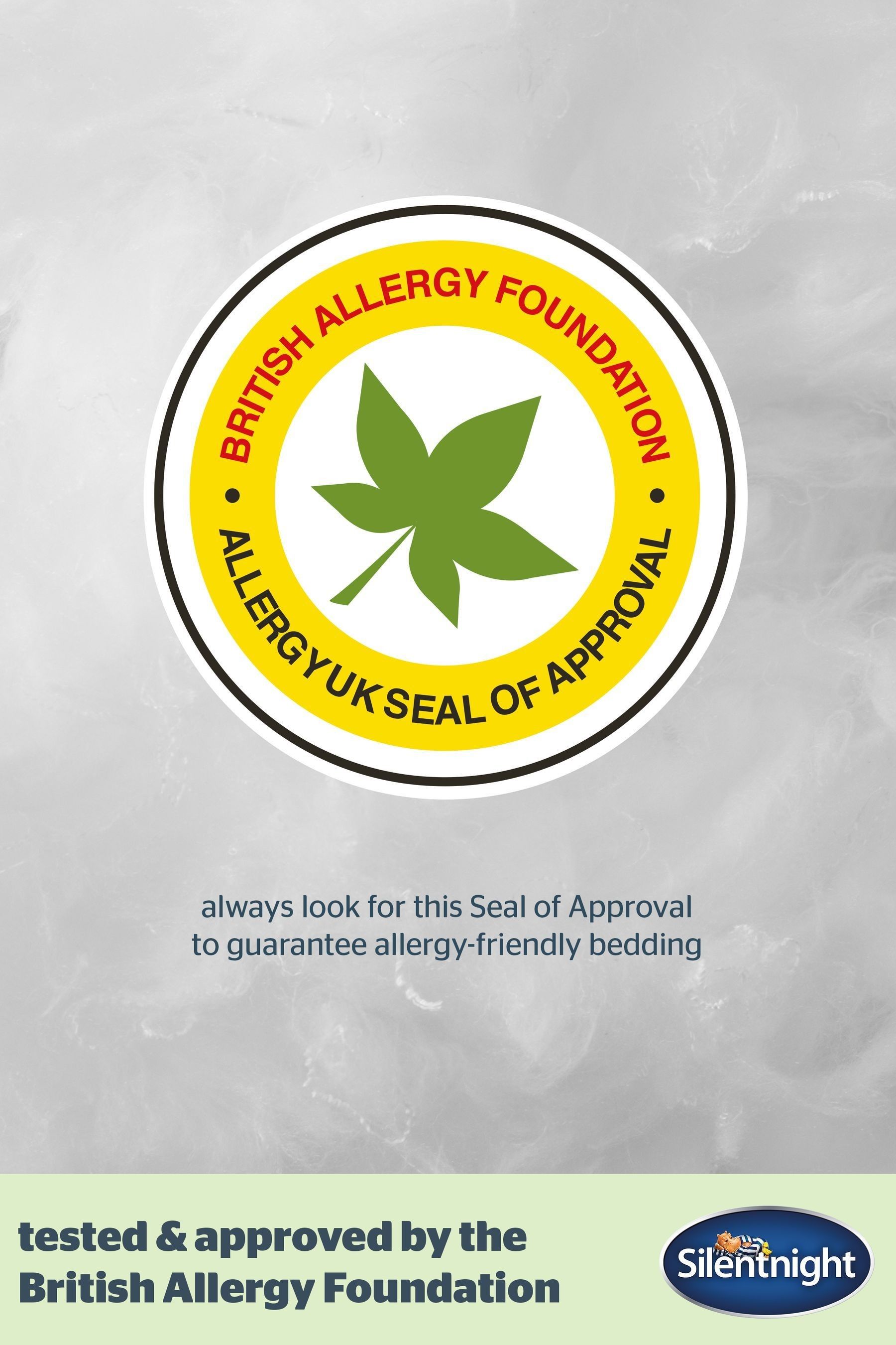 Buy Silentnight 2 Pack Anti Allergy Pillows from the Next UK
