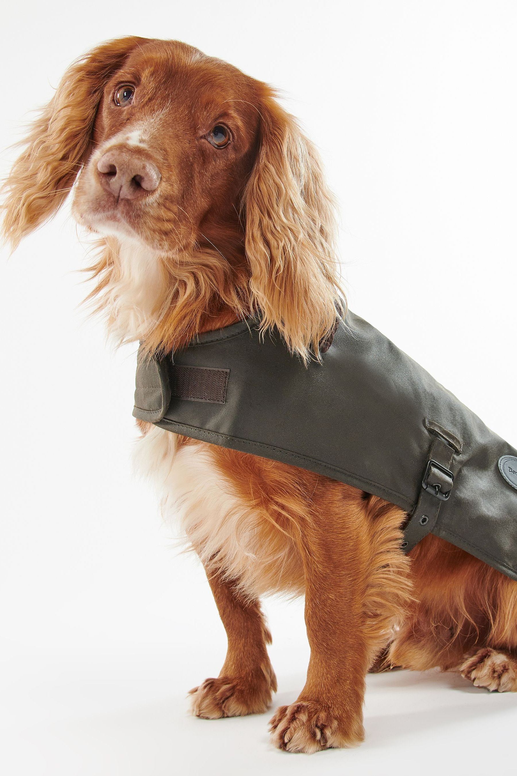 Buy Barbour Olive Green Wax Dog Coat from the Next UK online shop