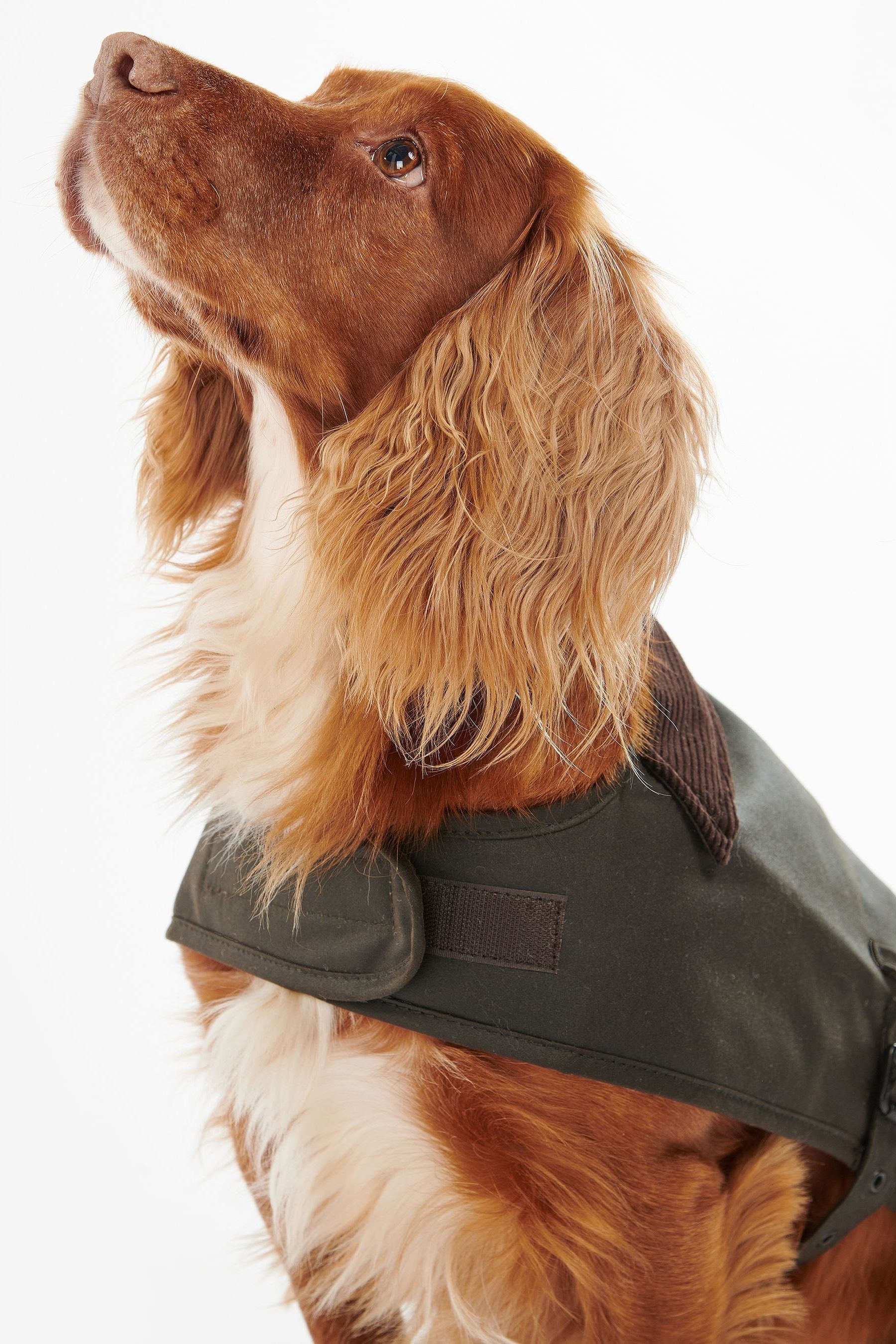 Barbour Olive Green Wax Dog Coat