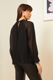 V&A | Love & Roses Black Chiffon Pleated Blouse - Image 3 of 4