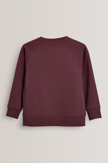 Berry Red 1 Pack Crew Neck School Sweater (3-17yrs)