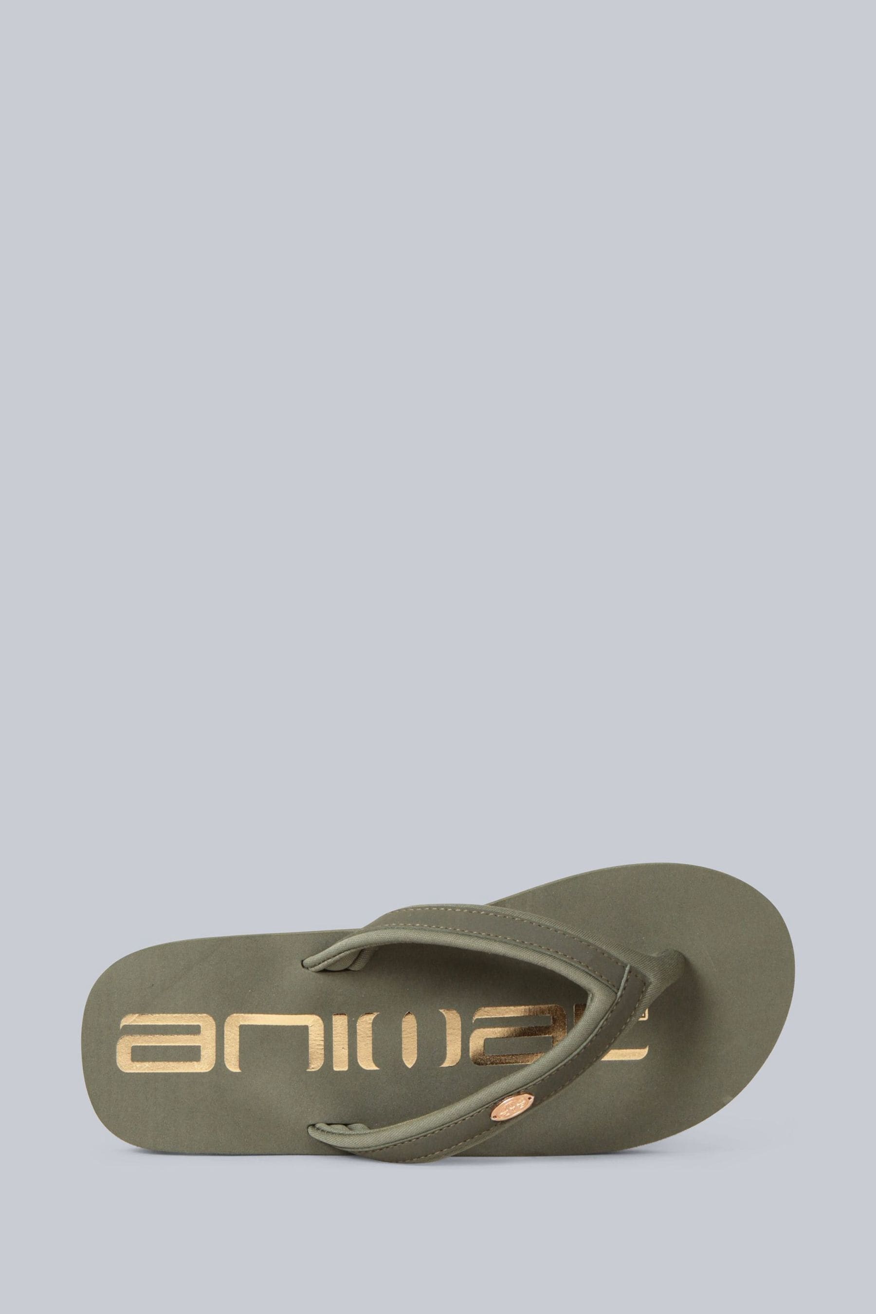 Buy Animal Green Olive Womens Swish Flip Flops from the Next UK online shop