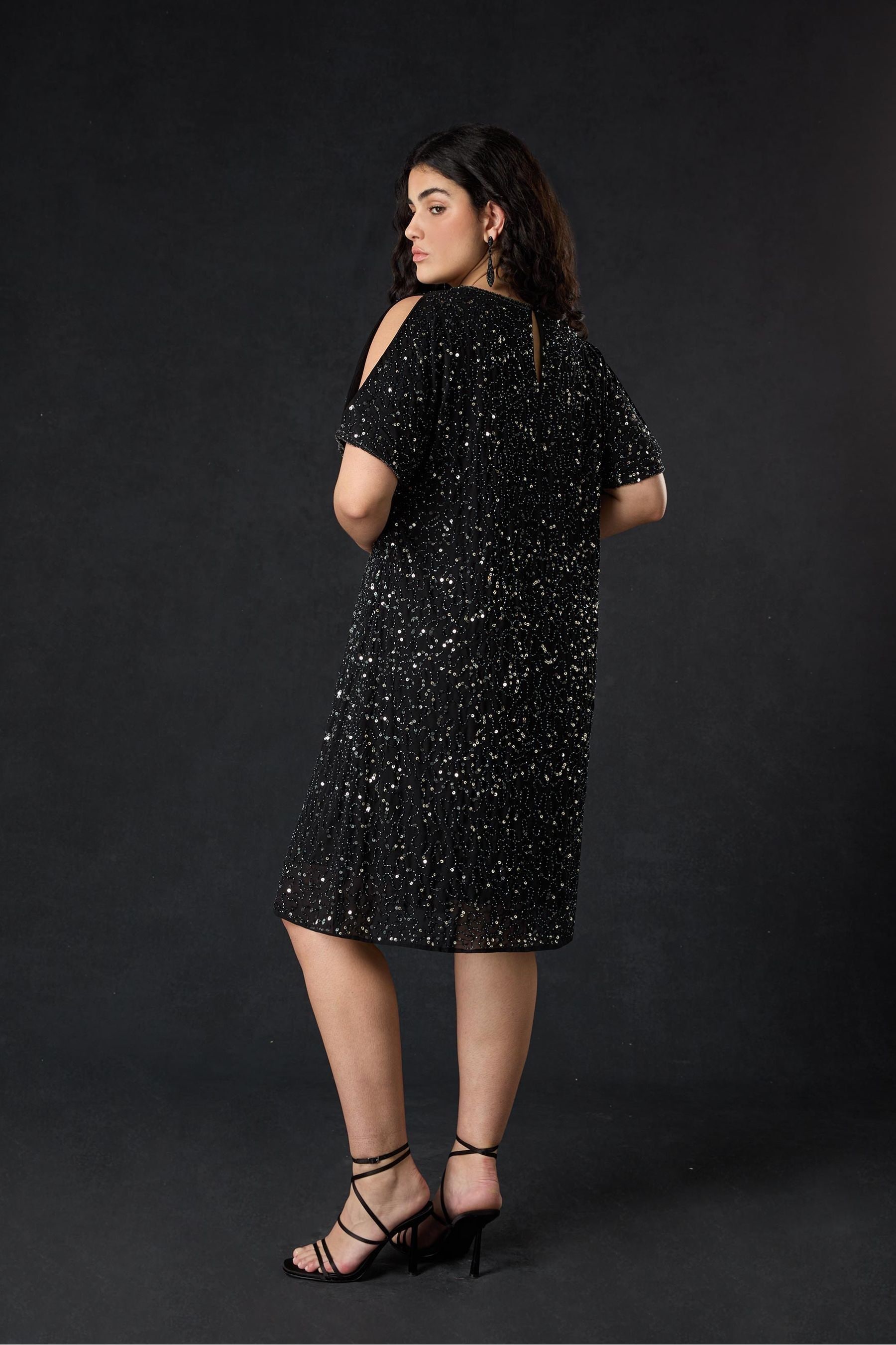 Curve embellished dress 2025