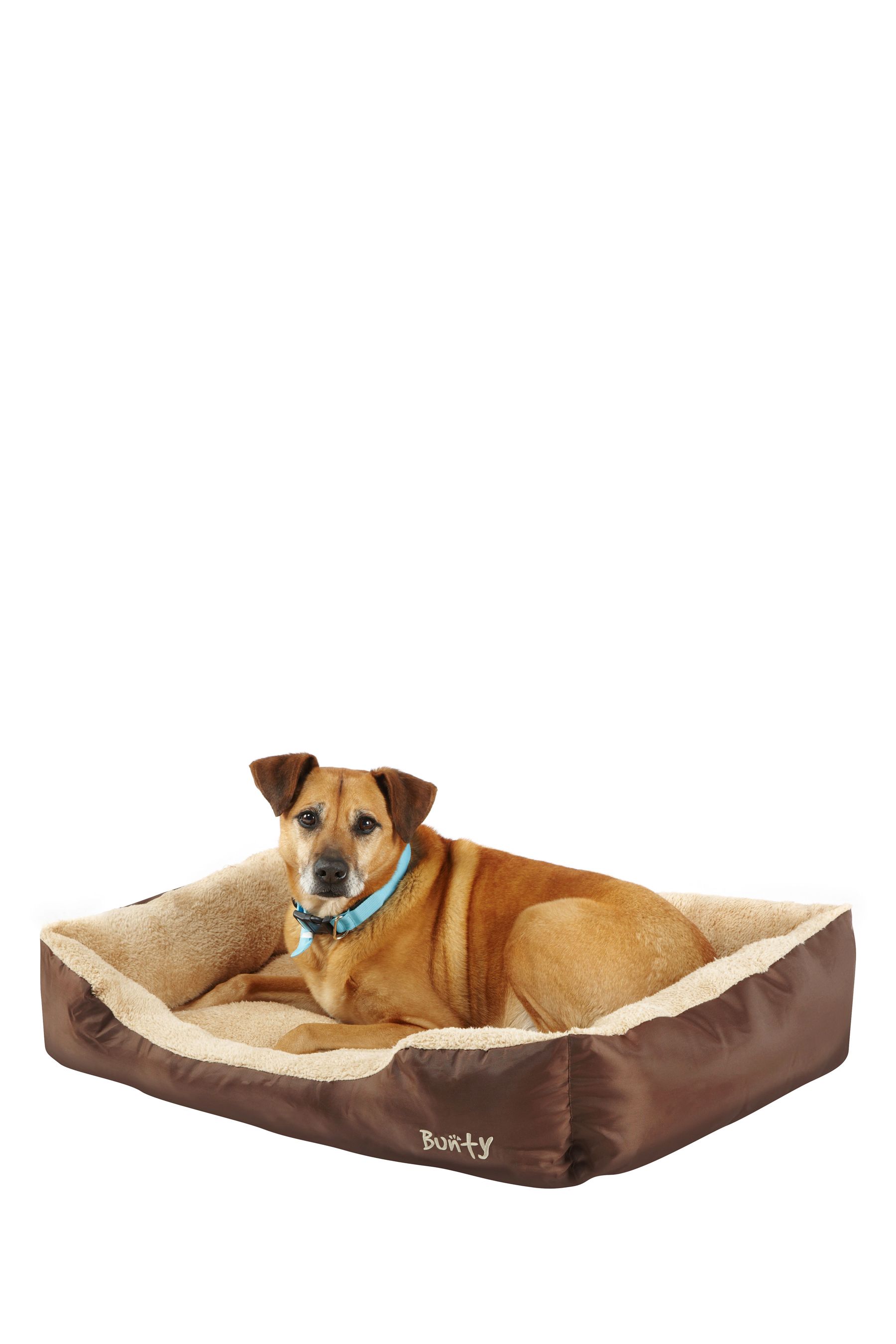 Bunty deluxe dog bed sales