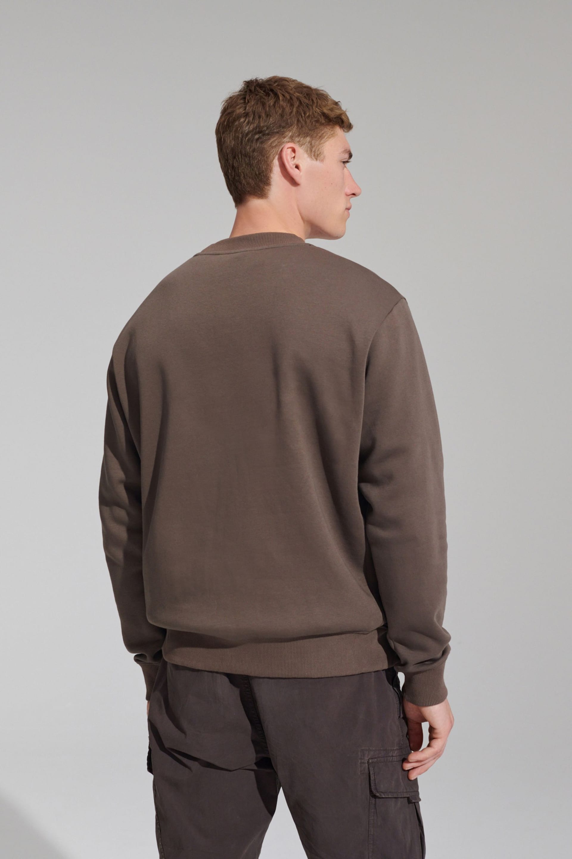 Light Brown Regular Fit Jersey Cotton Rich Crew Sweatshirt - Image 3 of 6