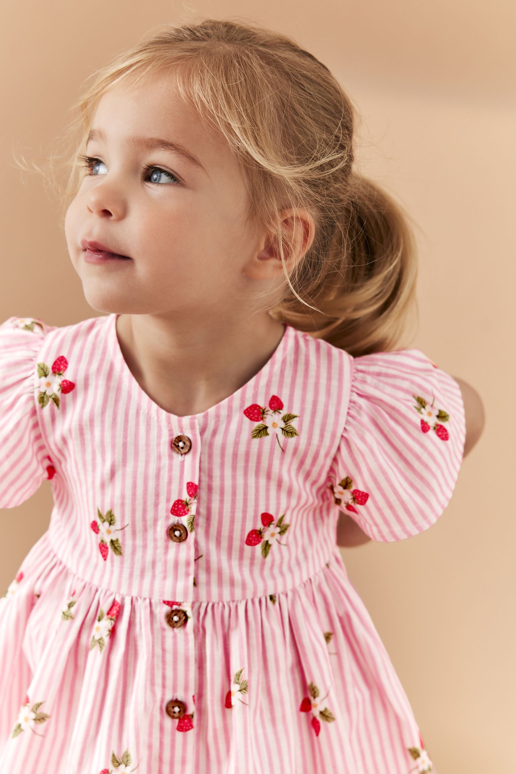 Next strawberry dress shop
