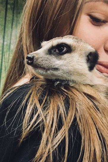 AS Meerkat Encounter for Two Gift Experience