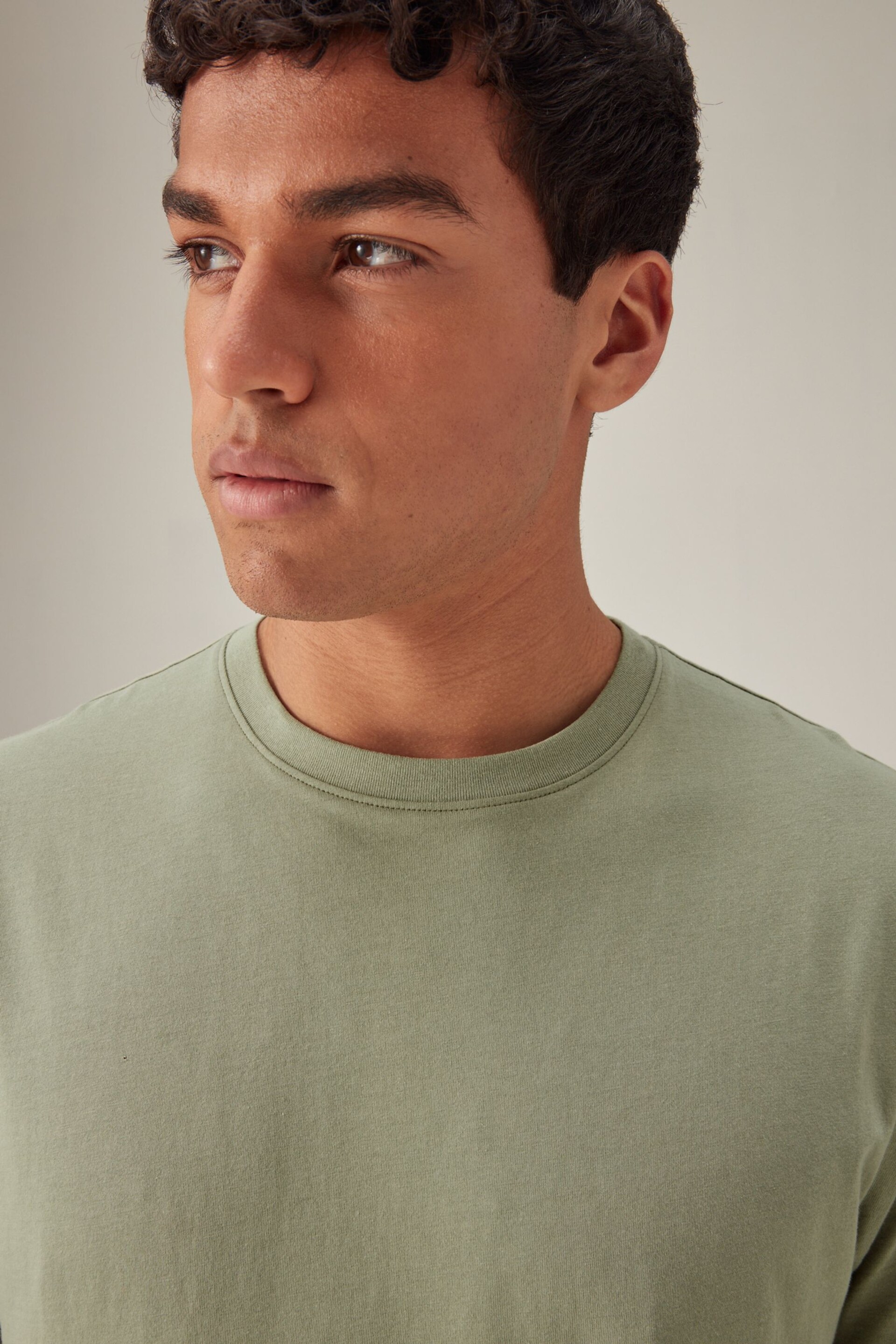 Green Sage Regular Fit Essential Crew Neck T-Shirt - Image 1 of 7