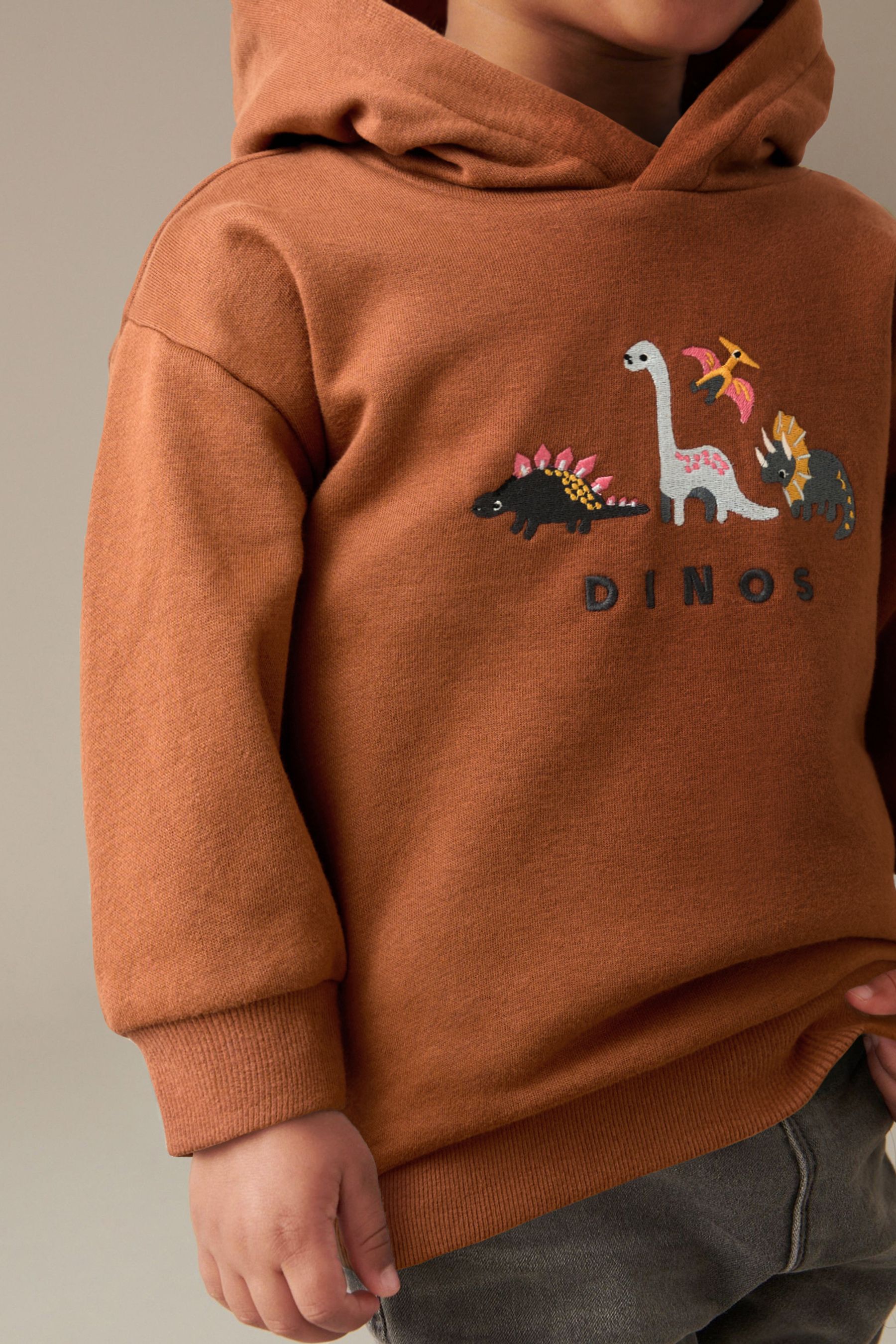 Next dinosaur hoodie sale