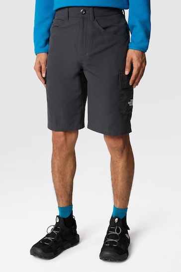 The North Face Grey Horizon Shorts