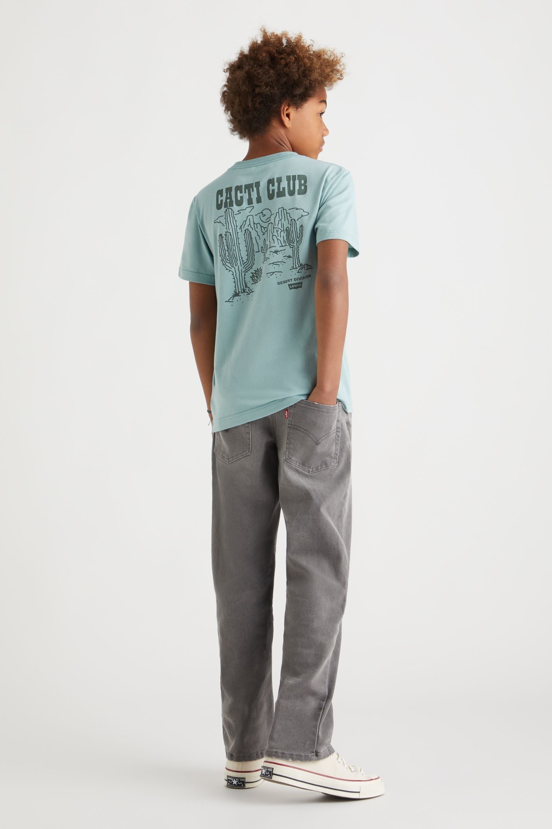 Buy Levi s Green Cactus Club Desert Back Print T Shirt from Next Luxembourg