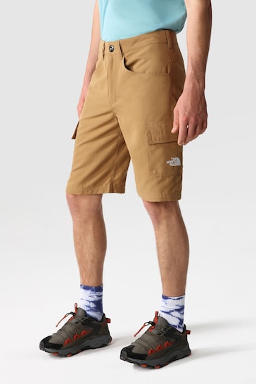 The North Face Brown Horizon Shorts