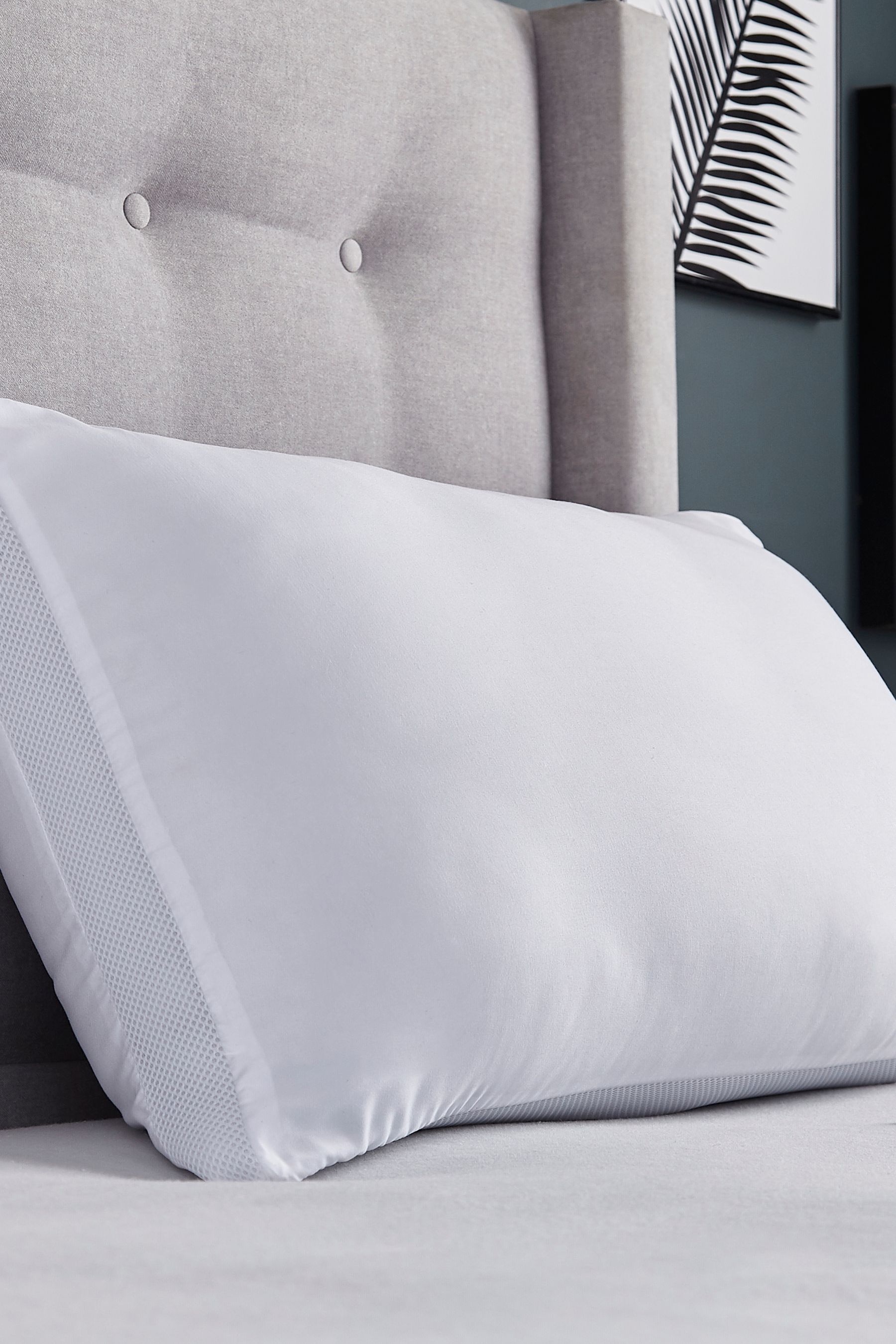Silent night airmax pillows deals