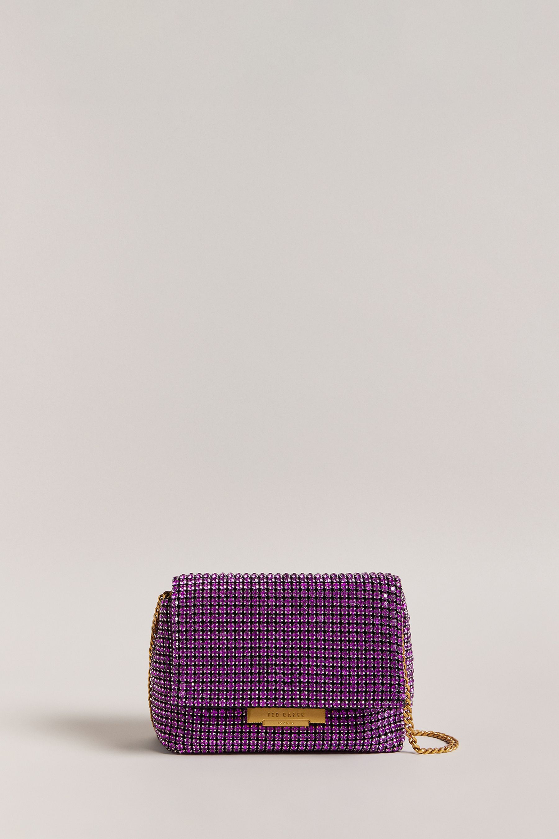 Ted baker glitter bag top