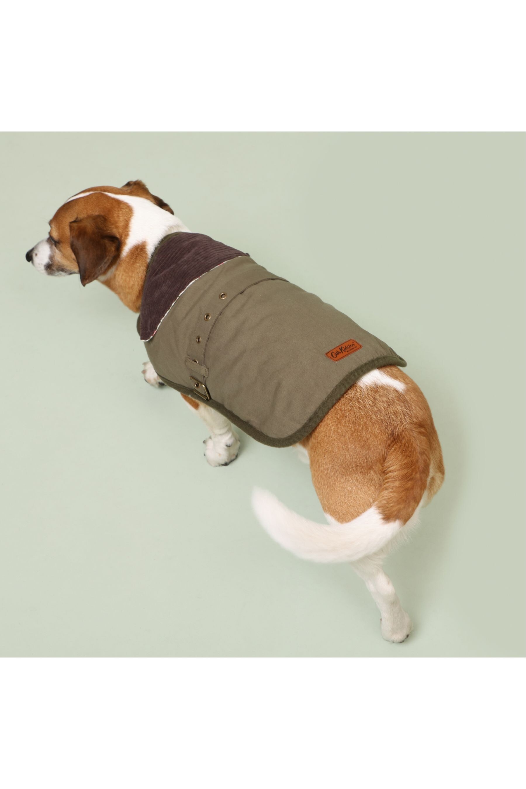 Cath kidston dog new arrivals coat