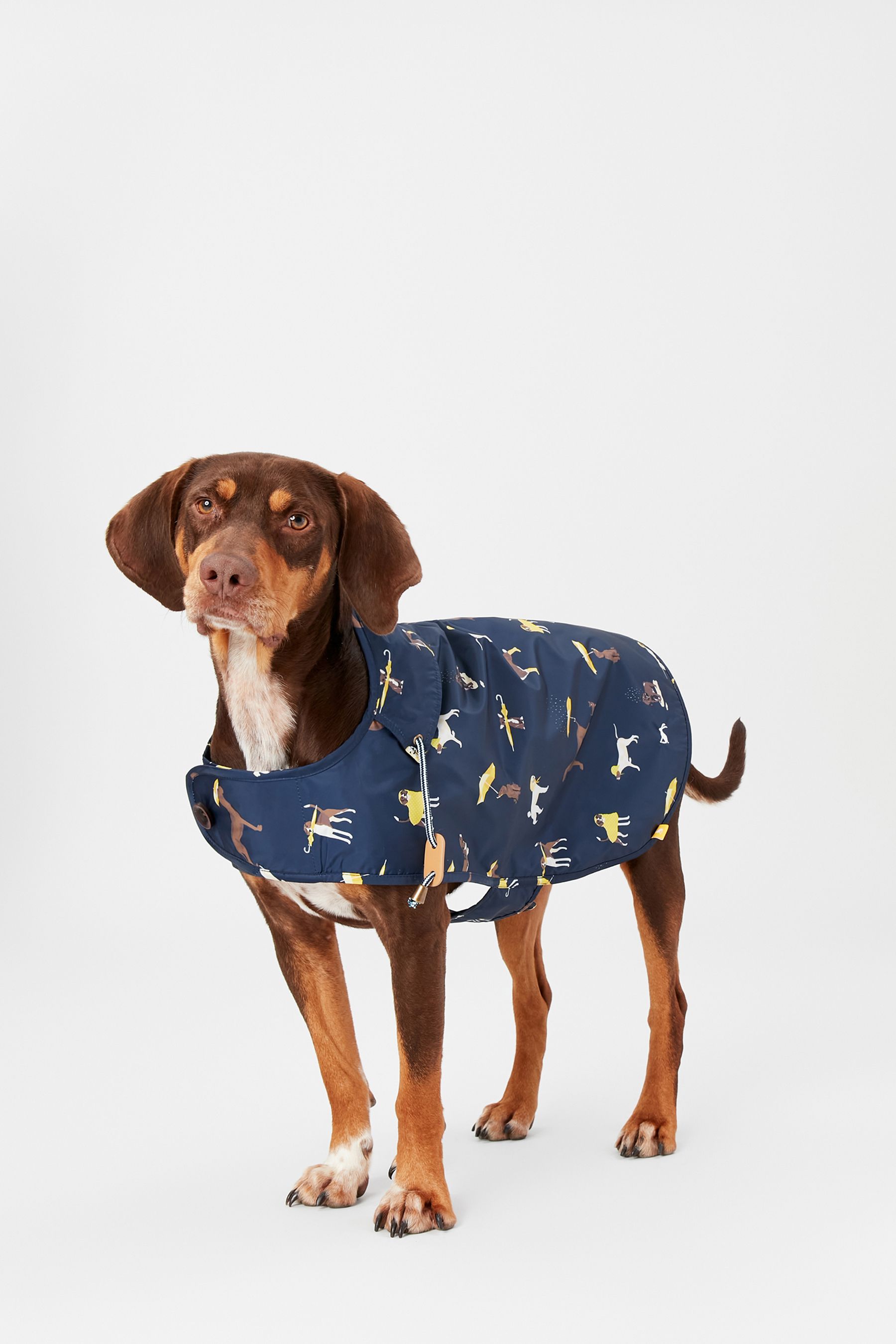 Joules dog jumpers shop