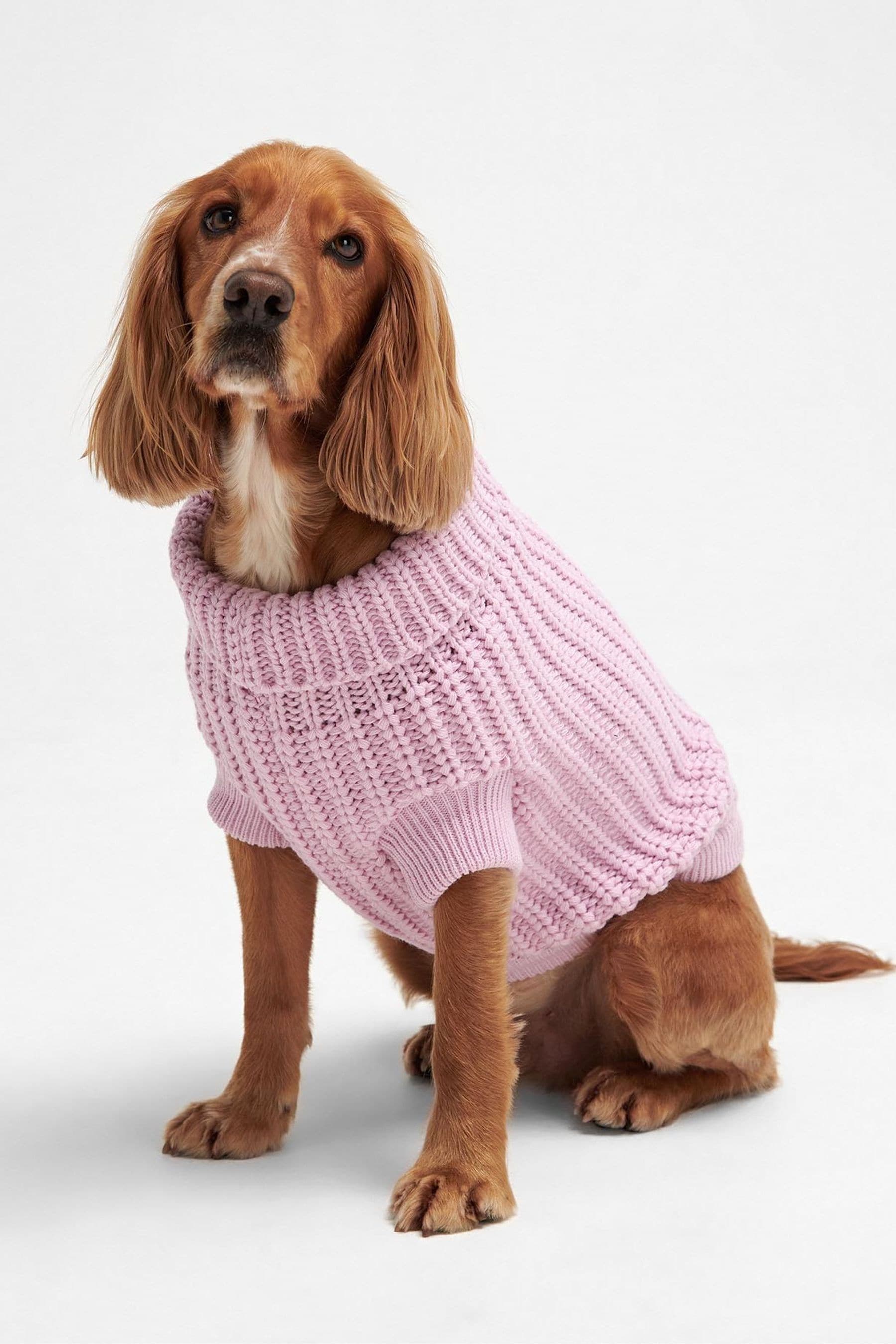 Buy Barbour Pink Dog Jumper from Next Belgium