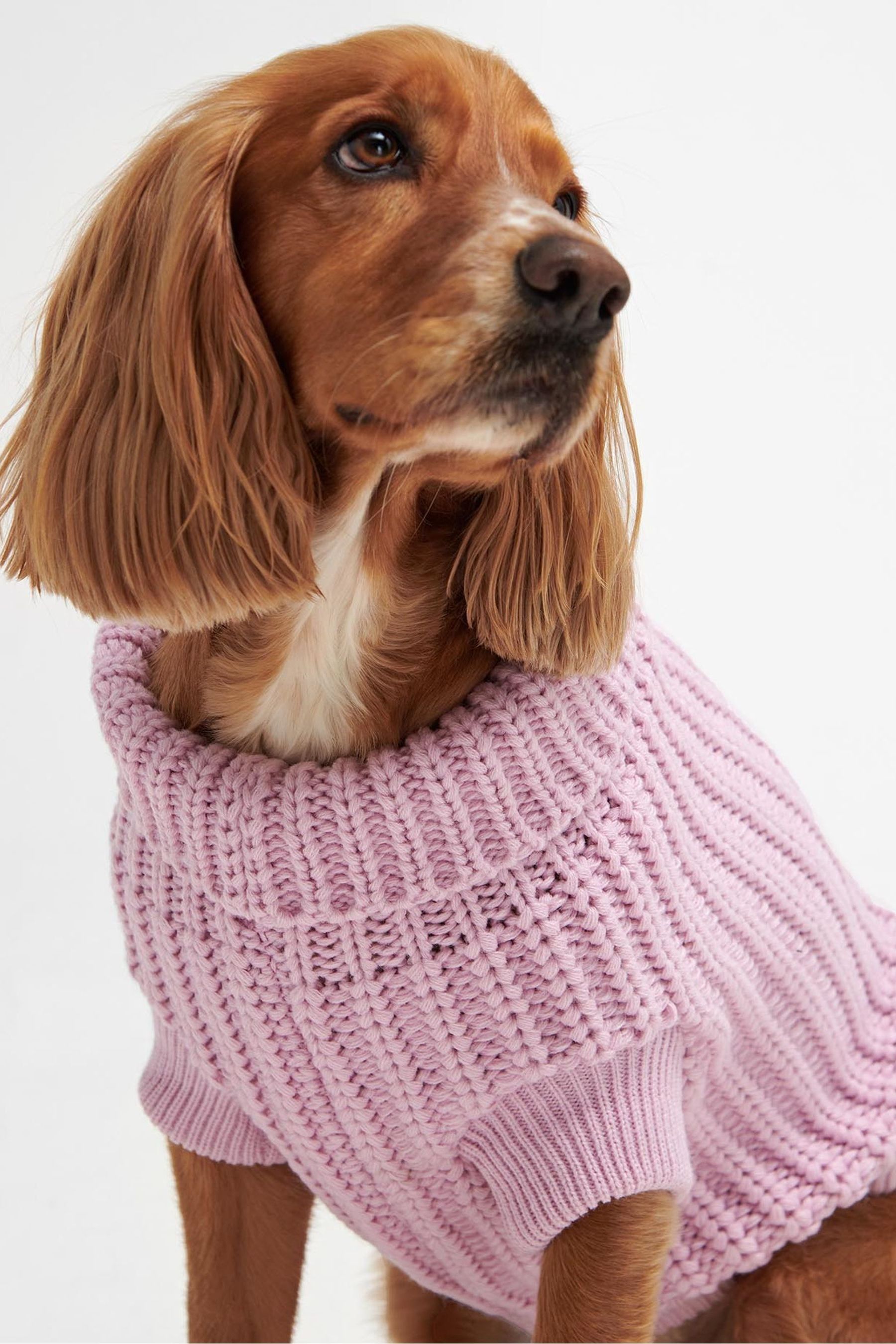 Pink dog jumper uk cheap