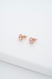 Ted Baker Pink SOLETIA: Solitaire Sparkle Crystal Stud Earrings - Image 1 of 5