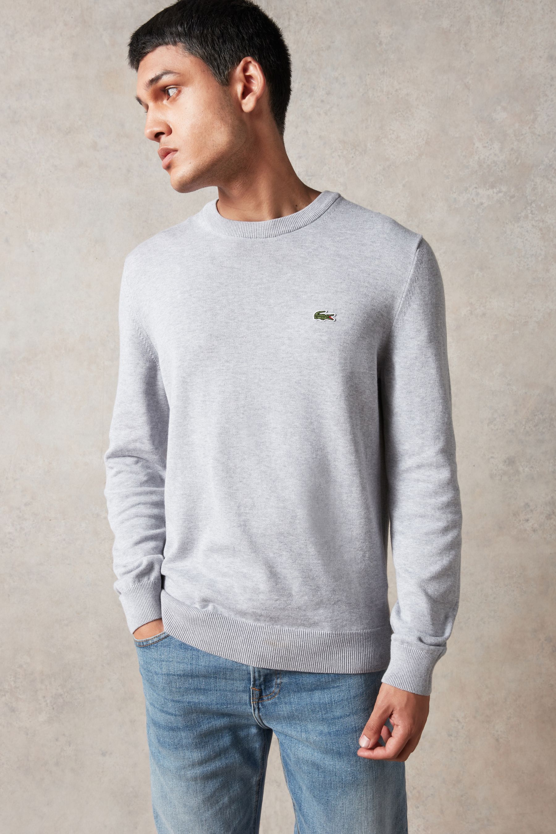 Lacoste crew neck sweatshirt grey new arrivals